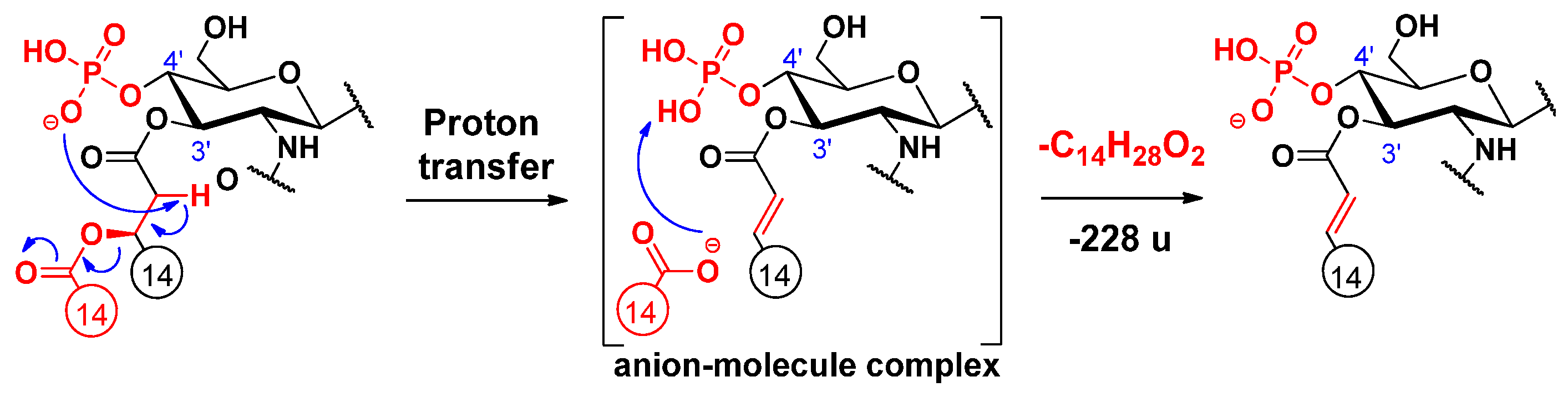 Molecules 26 05961 sch001