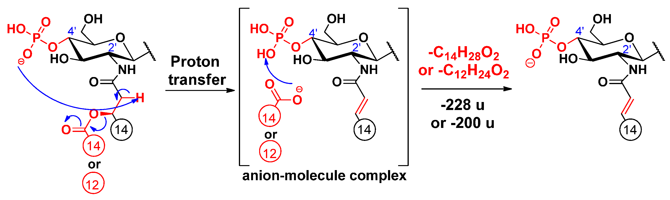 Molecules 26 05961 sch003