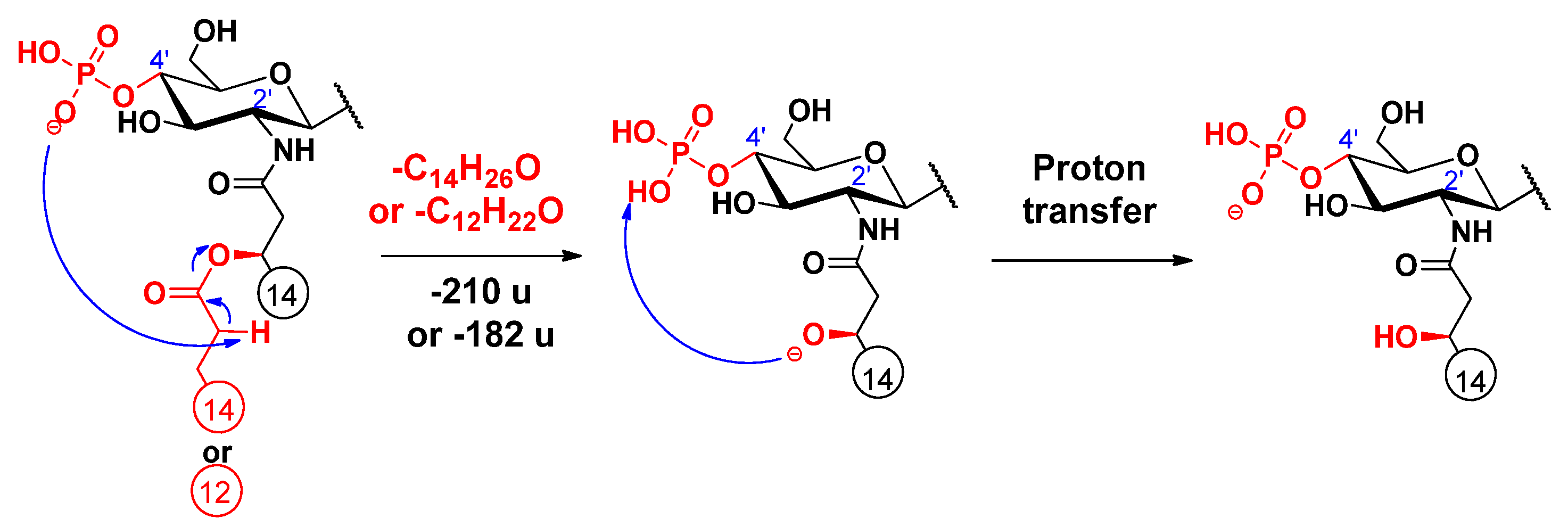 Molecules 26 05961 sch004
