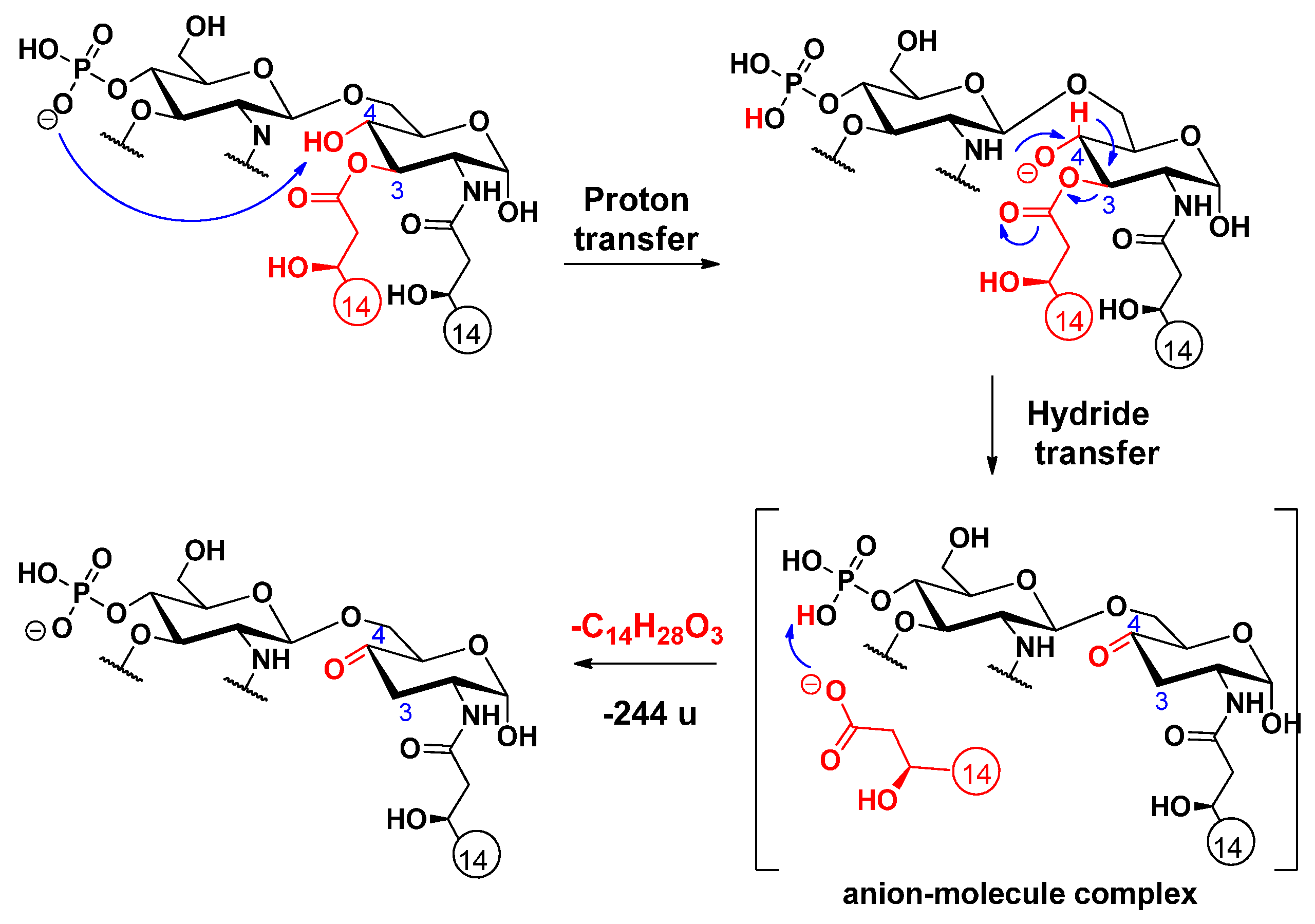 Molecules 26 05961 sch005