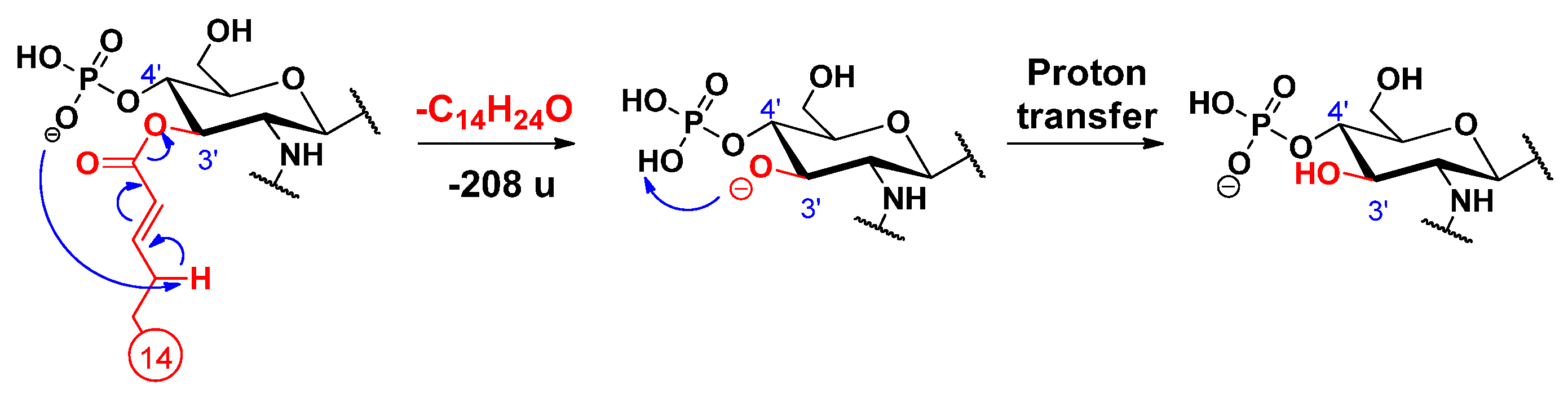 Molecules 26 05961 sch007