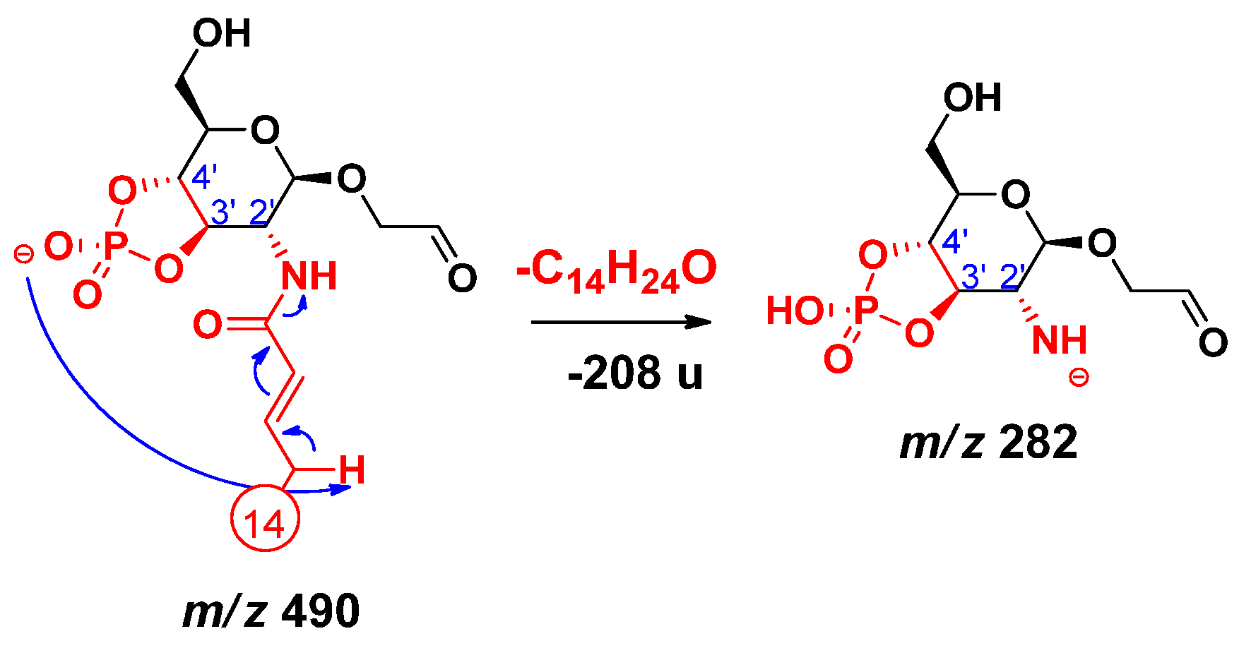 Molecules 26 05961 sch010