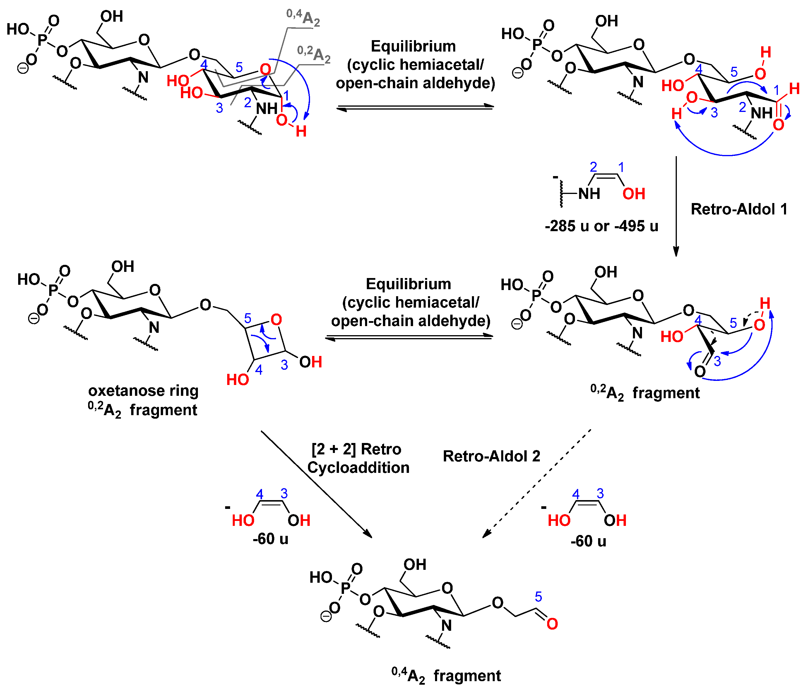 Molecules 26 05961 sch012