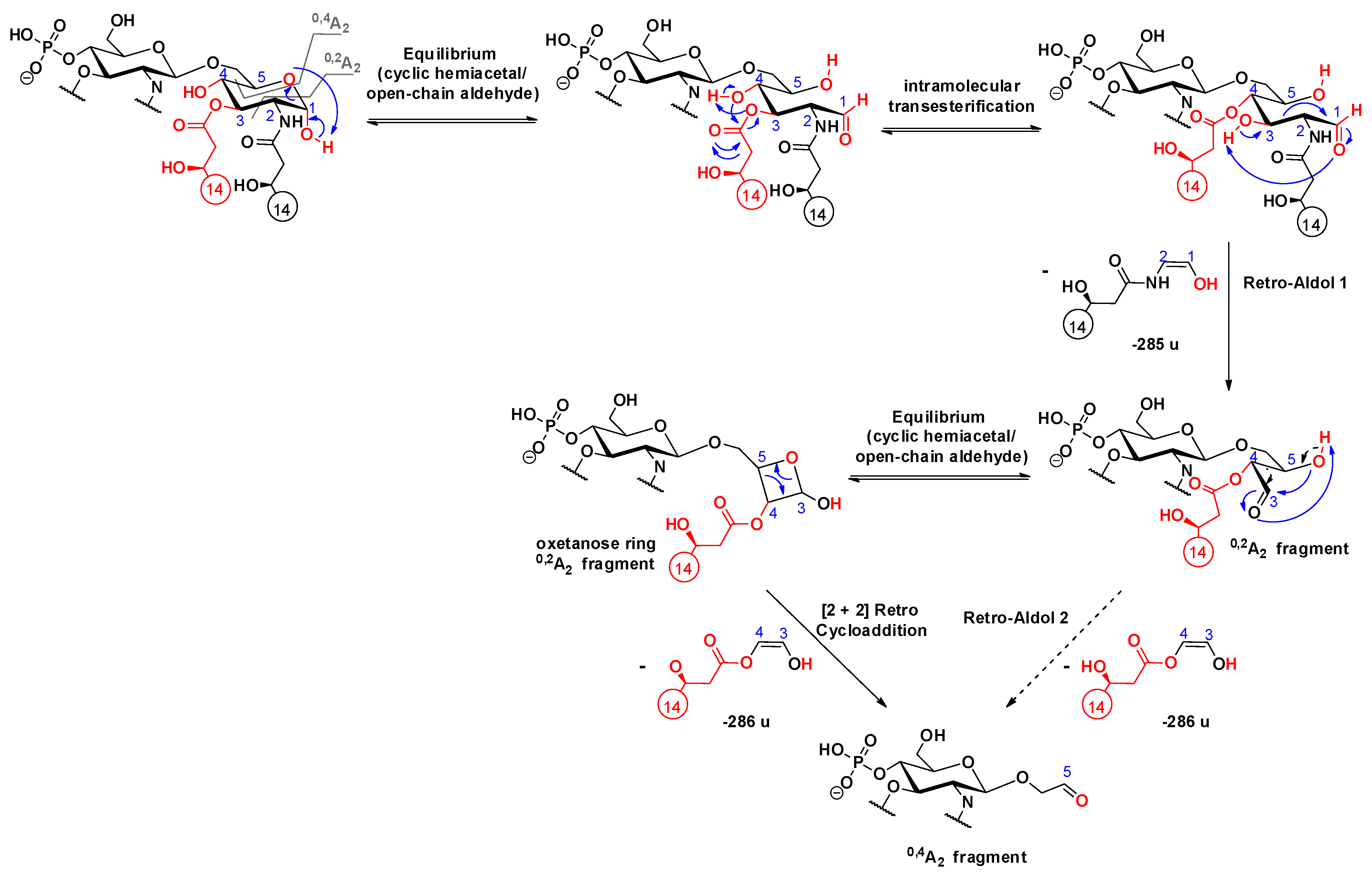 Molecules 26 05961 sch013