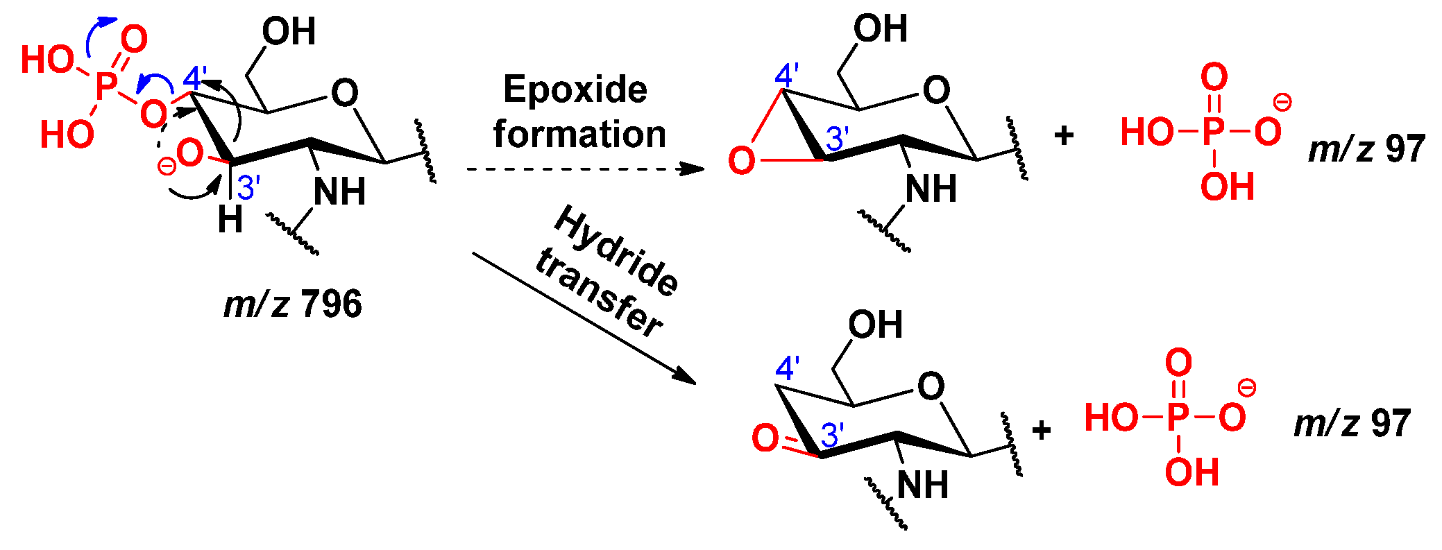 Molecules 26 05961 sch014