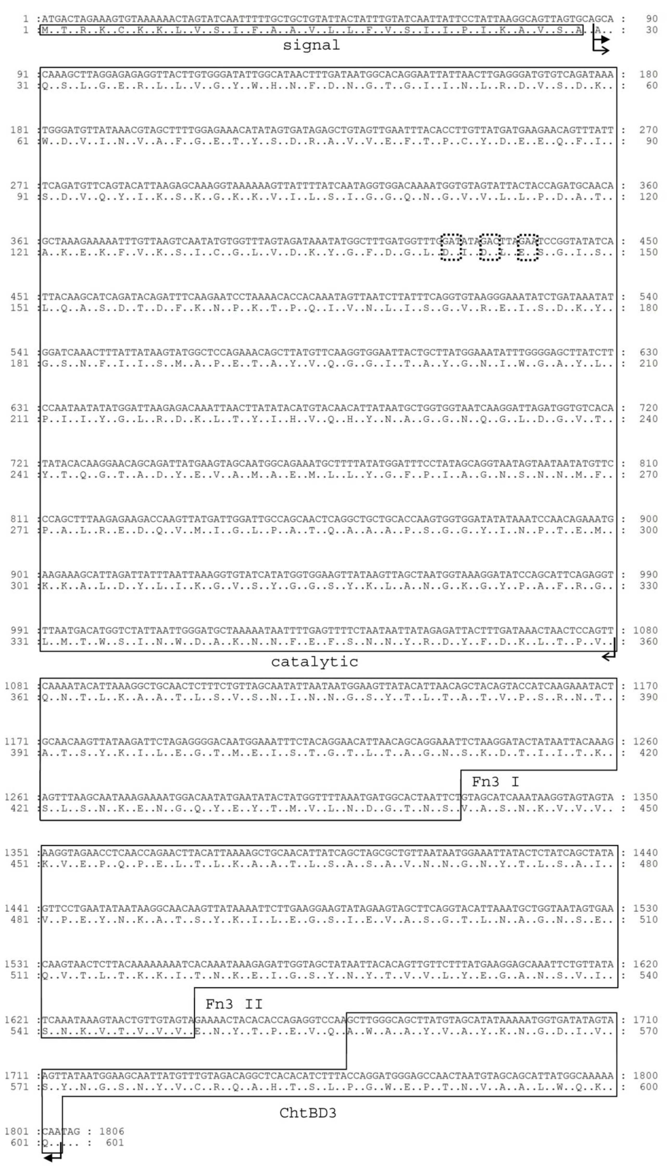 Molecules Free Full Text Chitinase Chit62j4 Essential For Chitin Processing By Human Microbiome Bacterium Clostridium Paraputrificum J4 Html