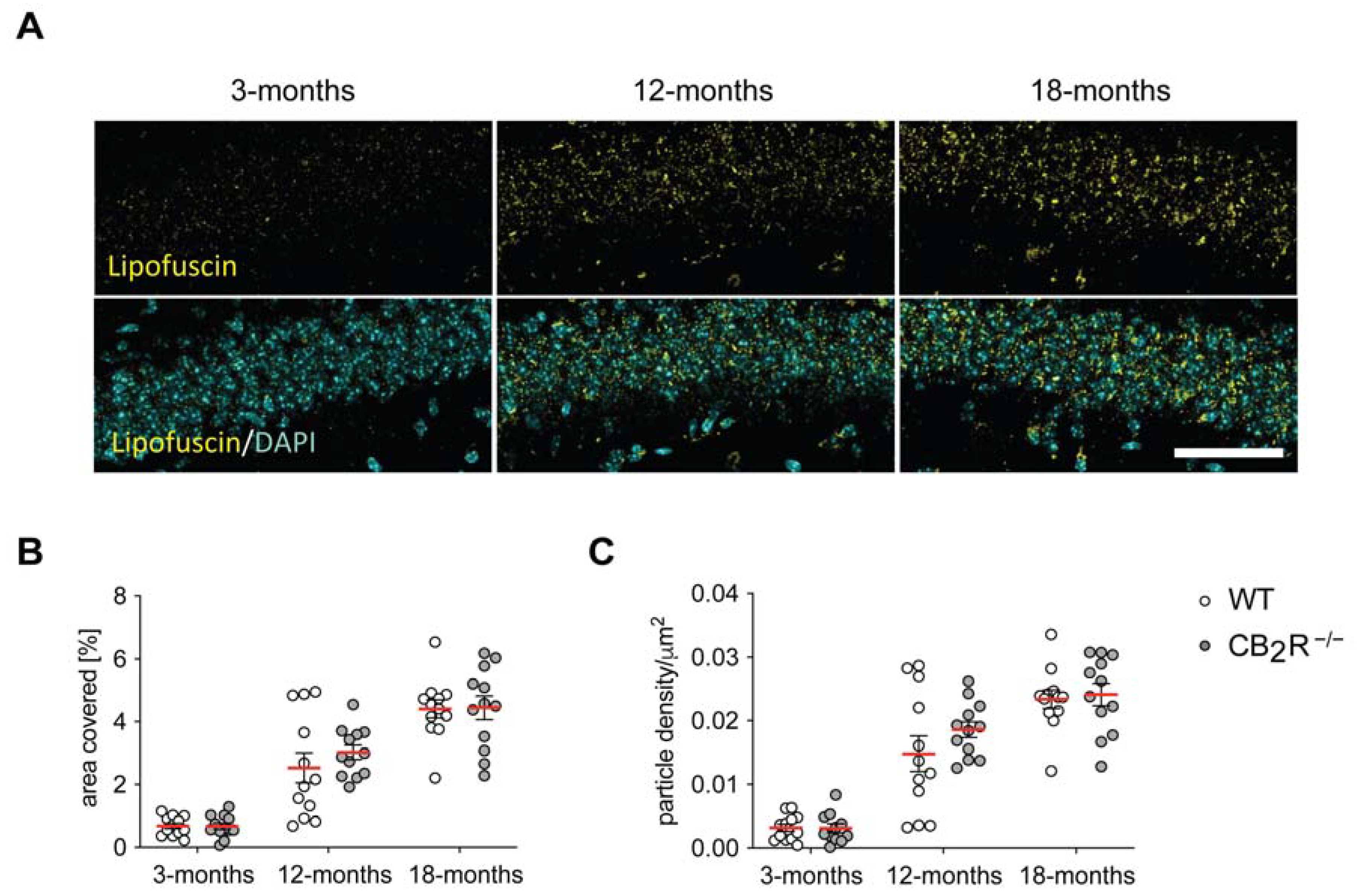 Molecules 26 05984 g003 550