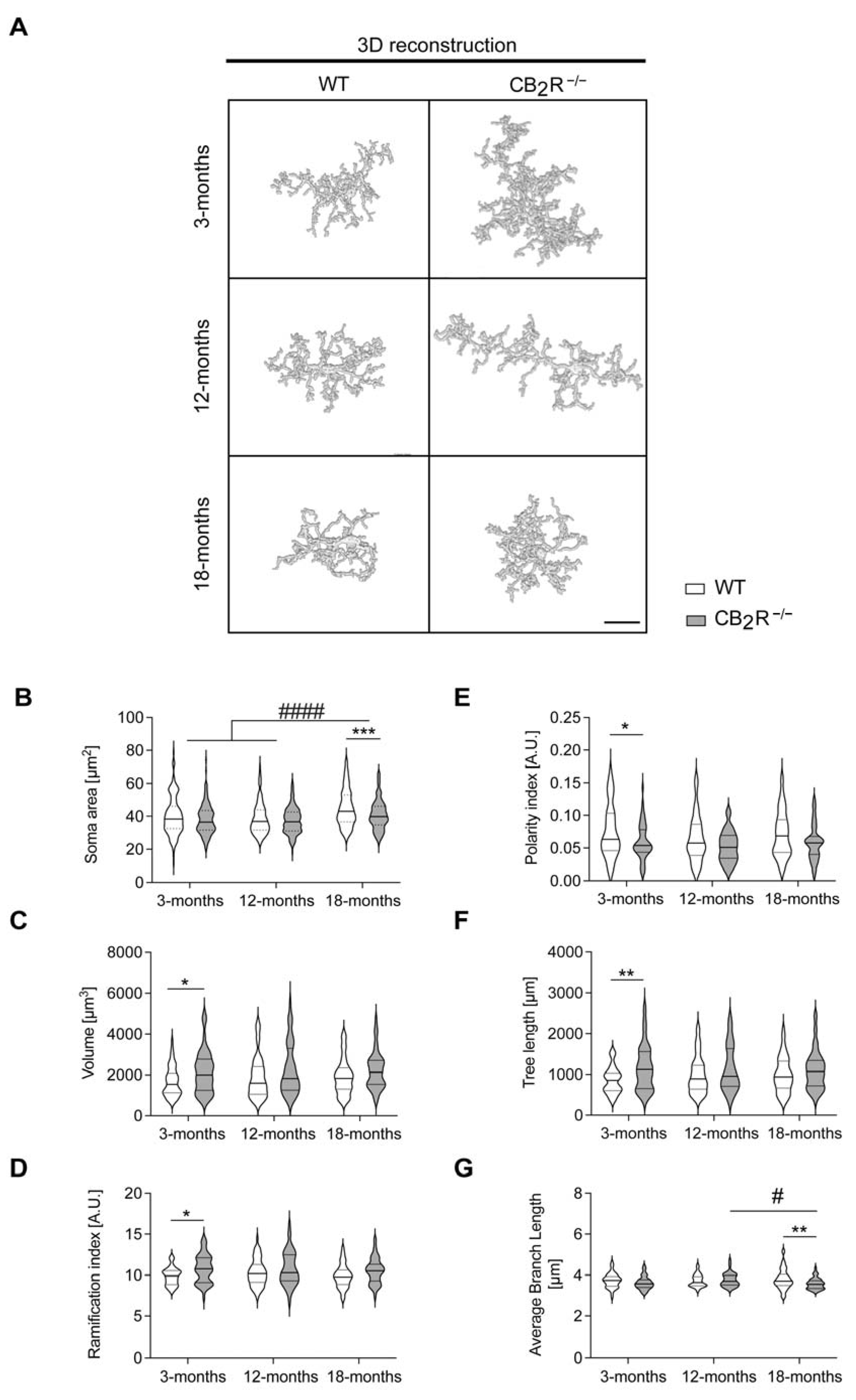Molecules 26 05984 g007 550
