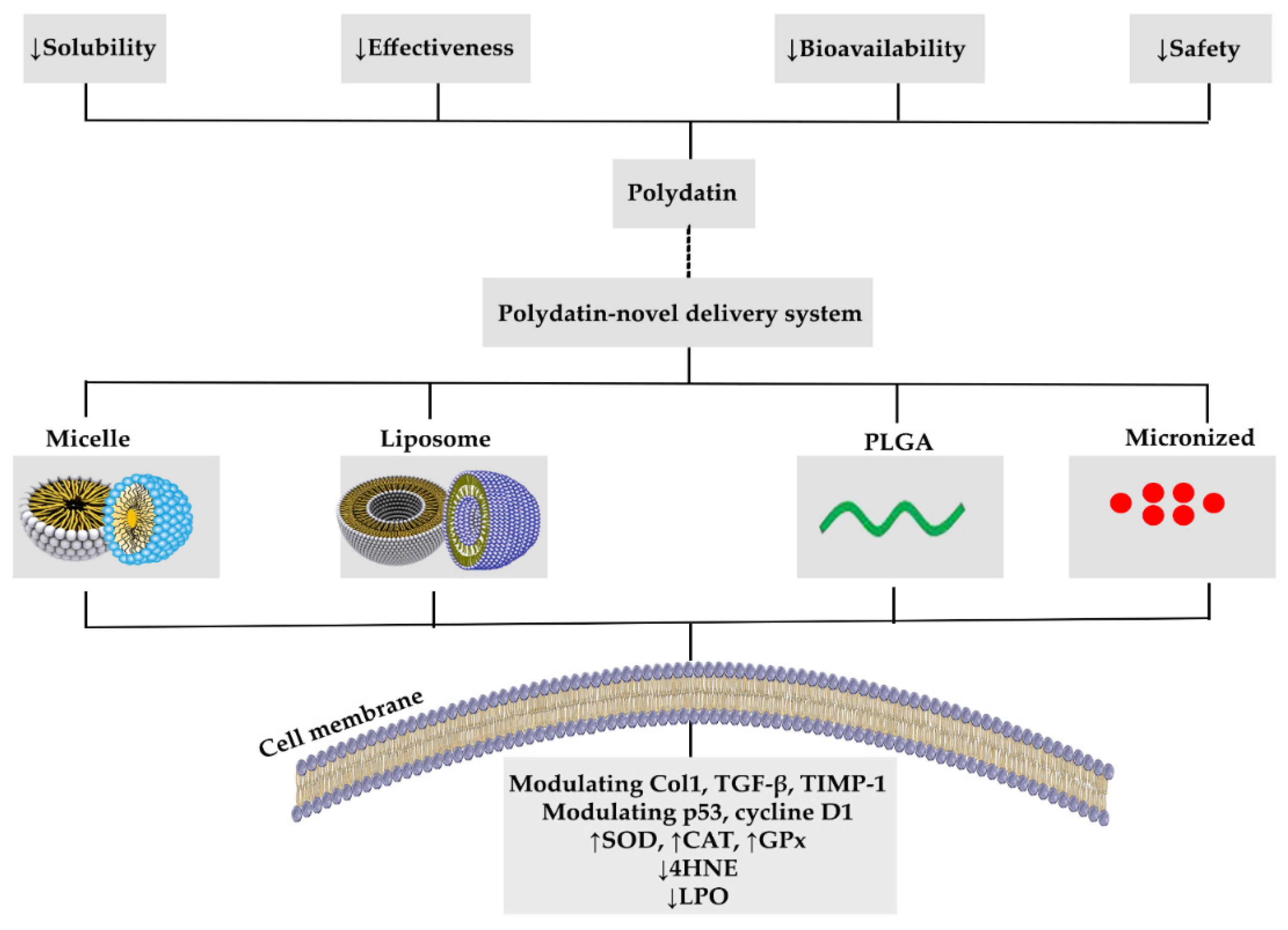 Molecules 26 05985 g003 Molecules 26 05985 g003