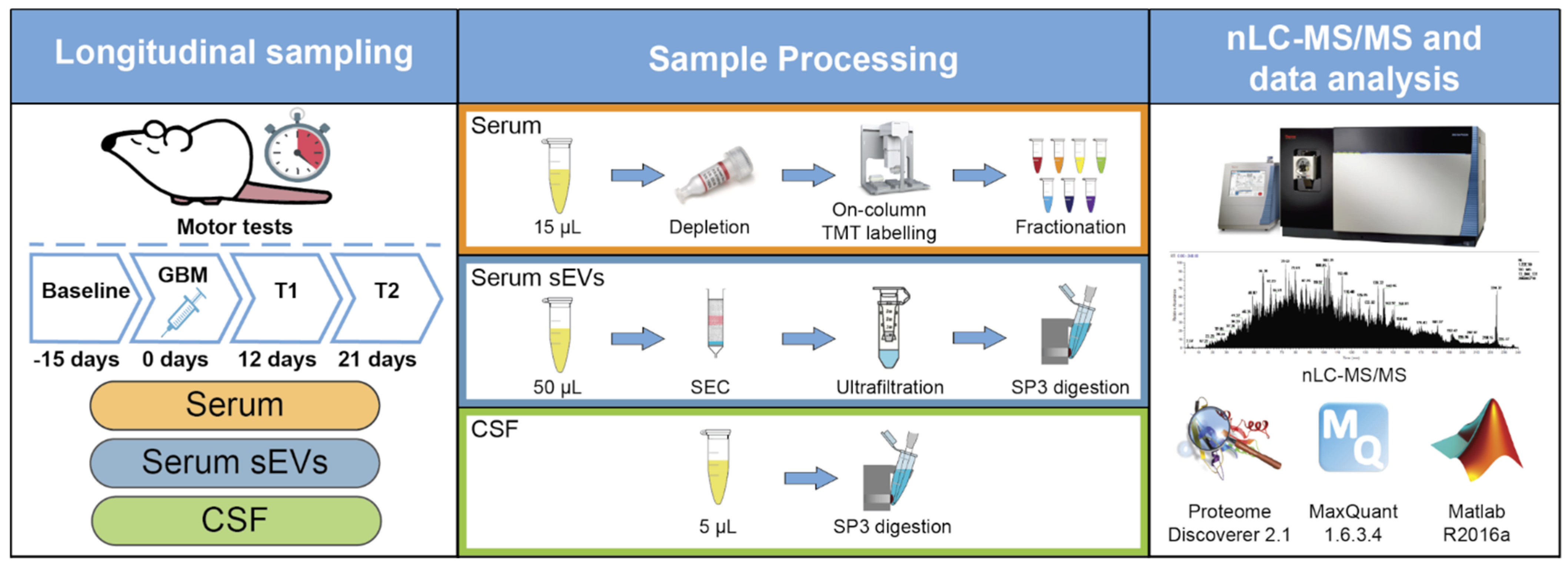 Molecules 26 05992 g006