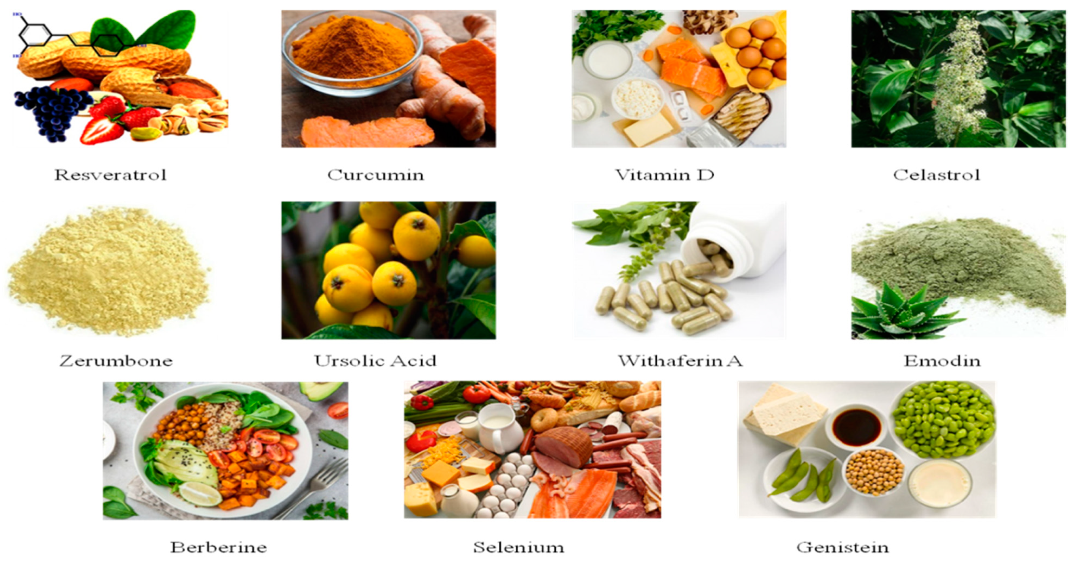 Molecules 26 05997 g001