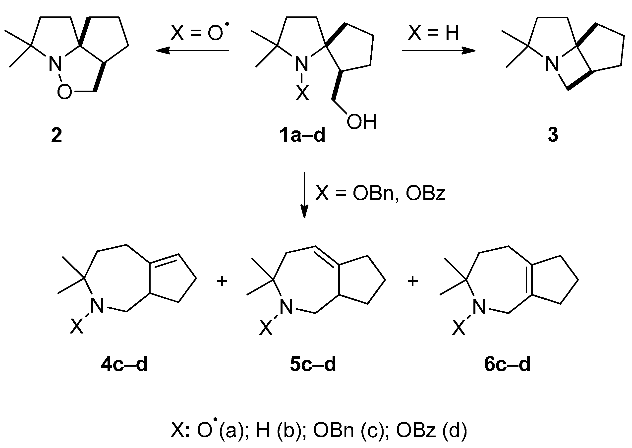 Molecules 26 06000 sch001 550