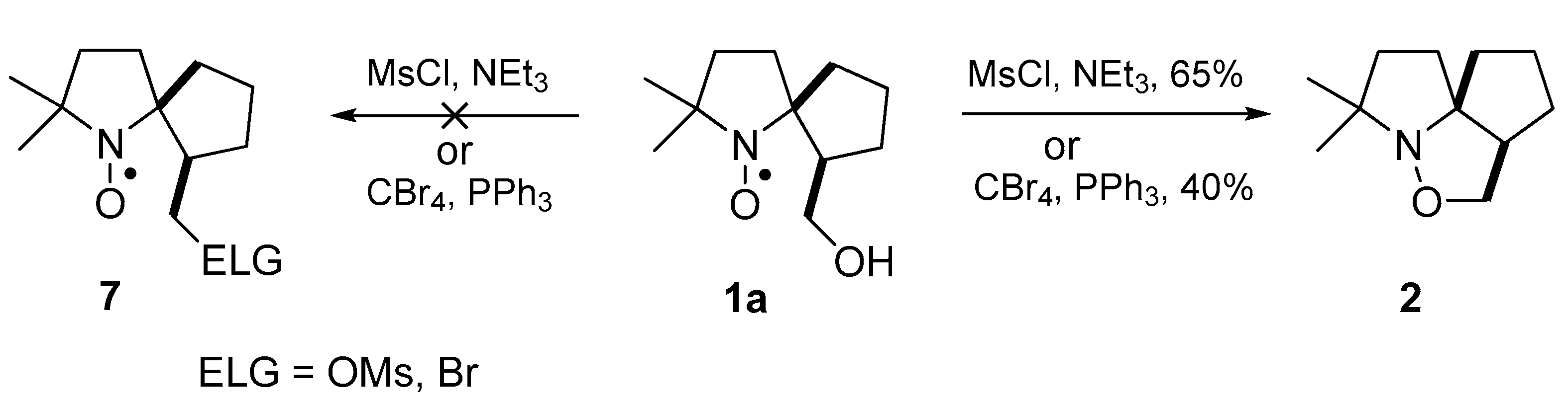 Molecules 26 06000 sch002 550