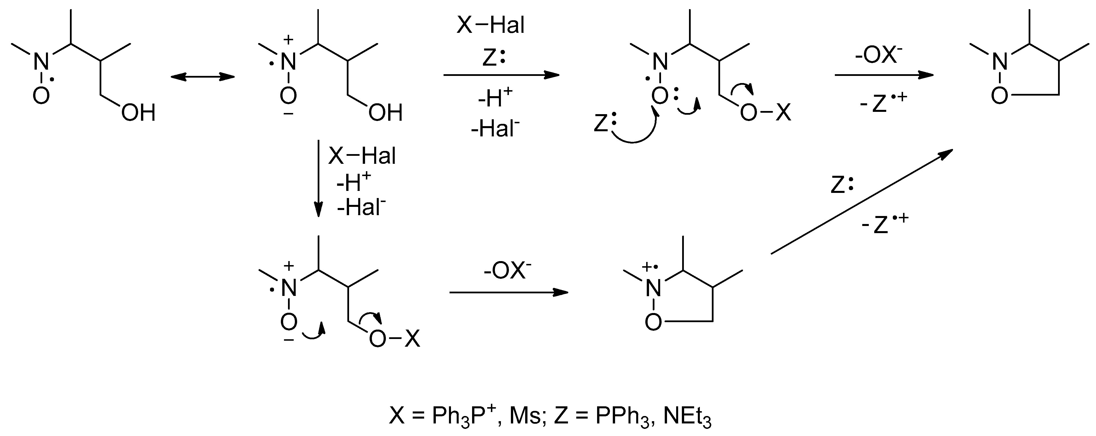 Molecules 26 06000 sch003 550