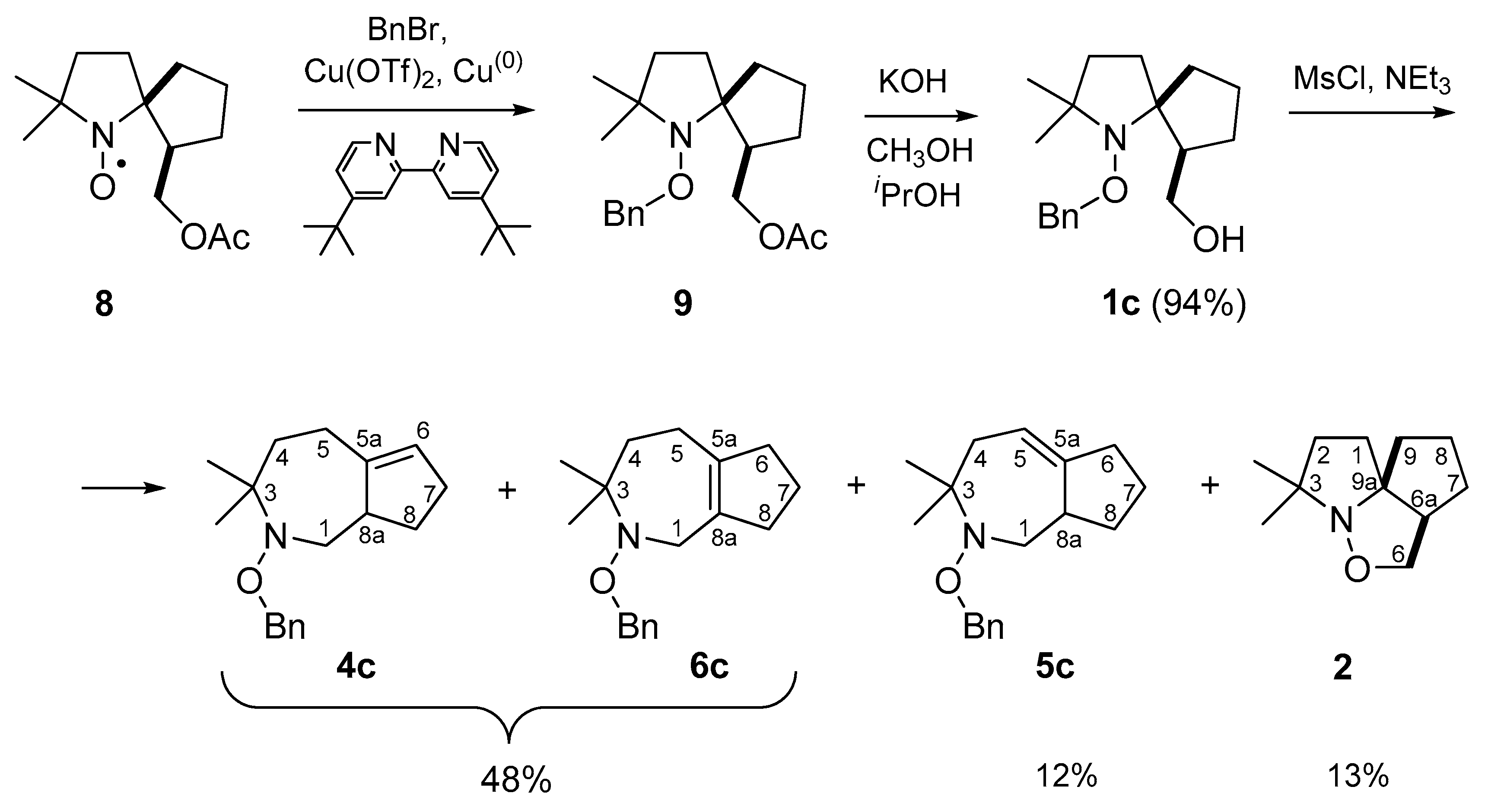 Molecules 26 06000 sch004 550