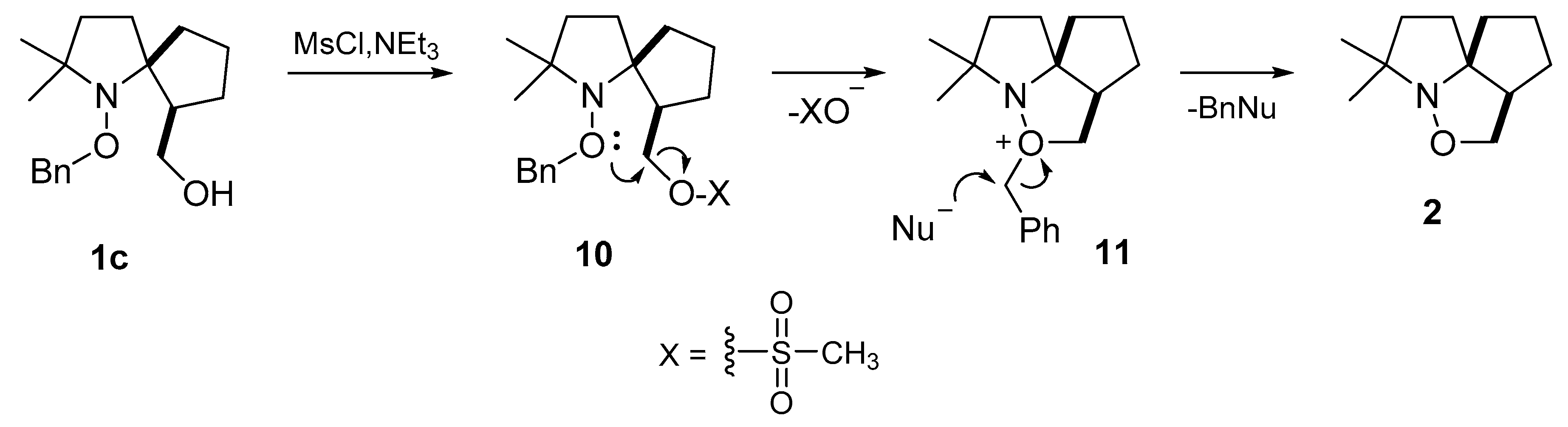 Molecules 26 06000 sch005 550