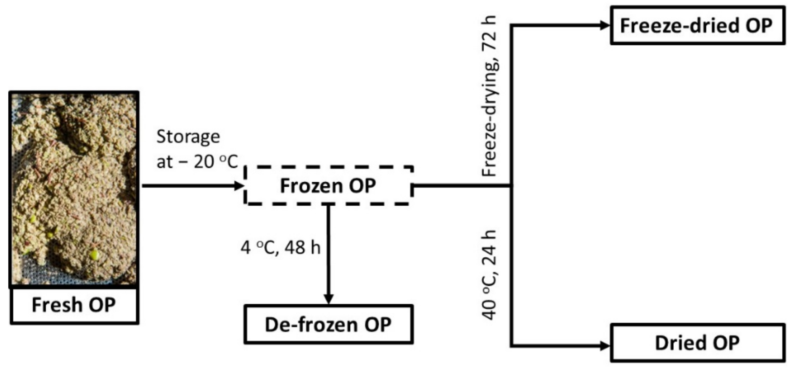 Molecules 26 06002 g004