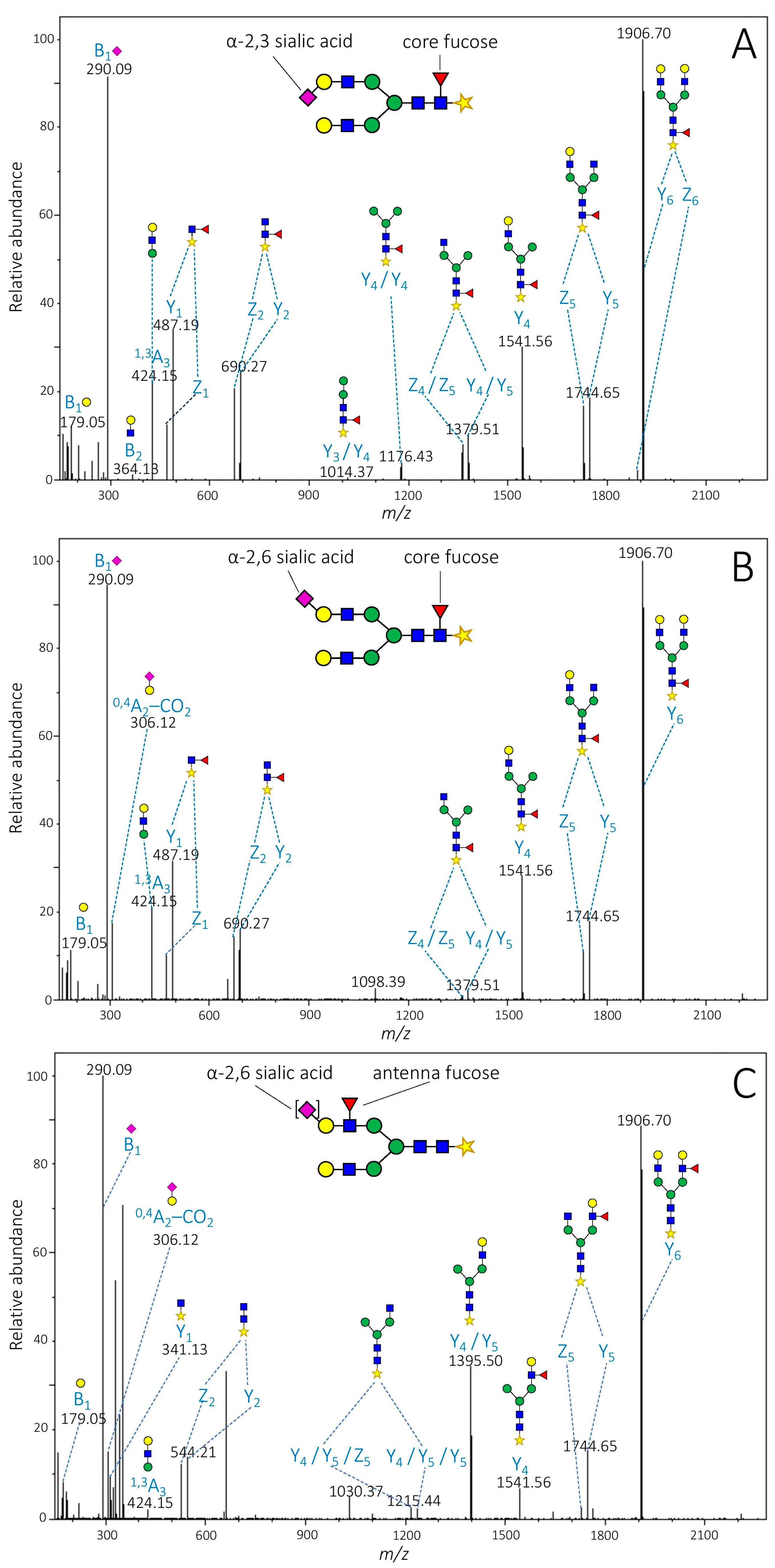 Molecules 26 06003 g002