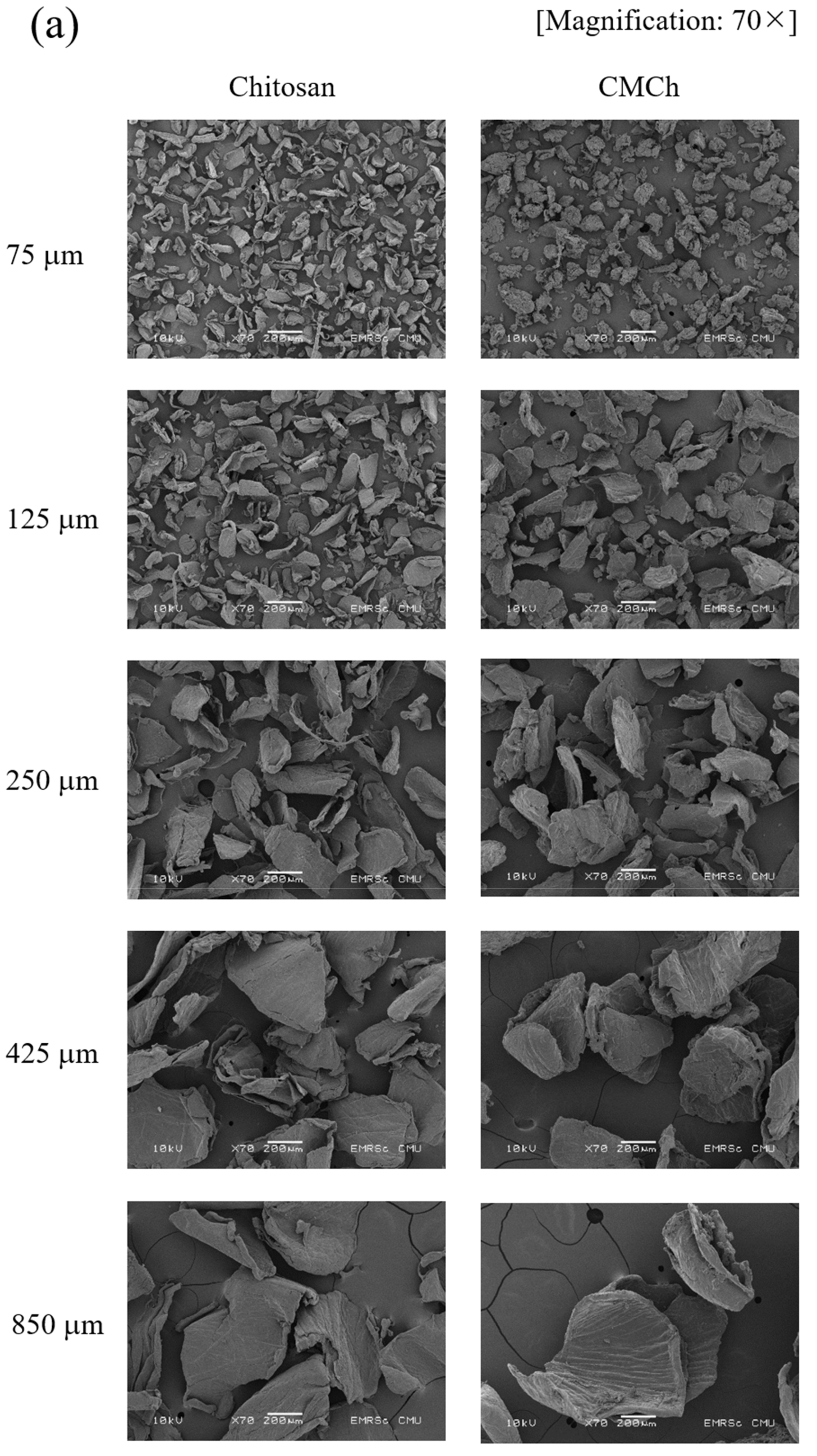 Molecules 26 06013 g003a Molecules 26 06013 g003a