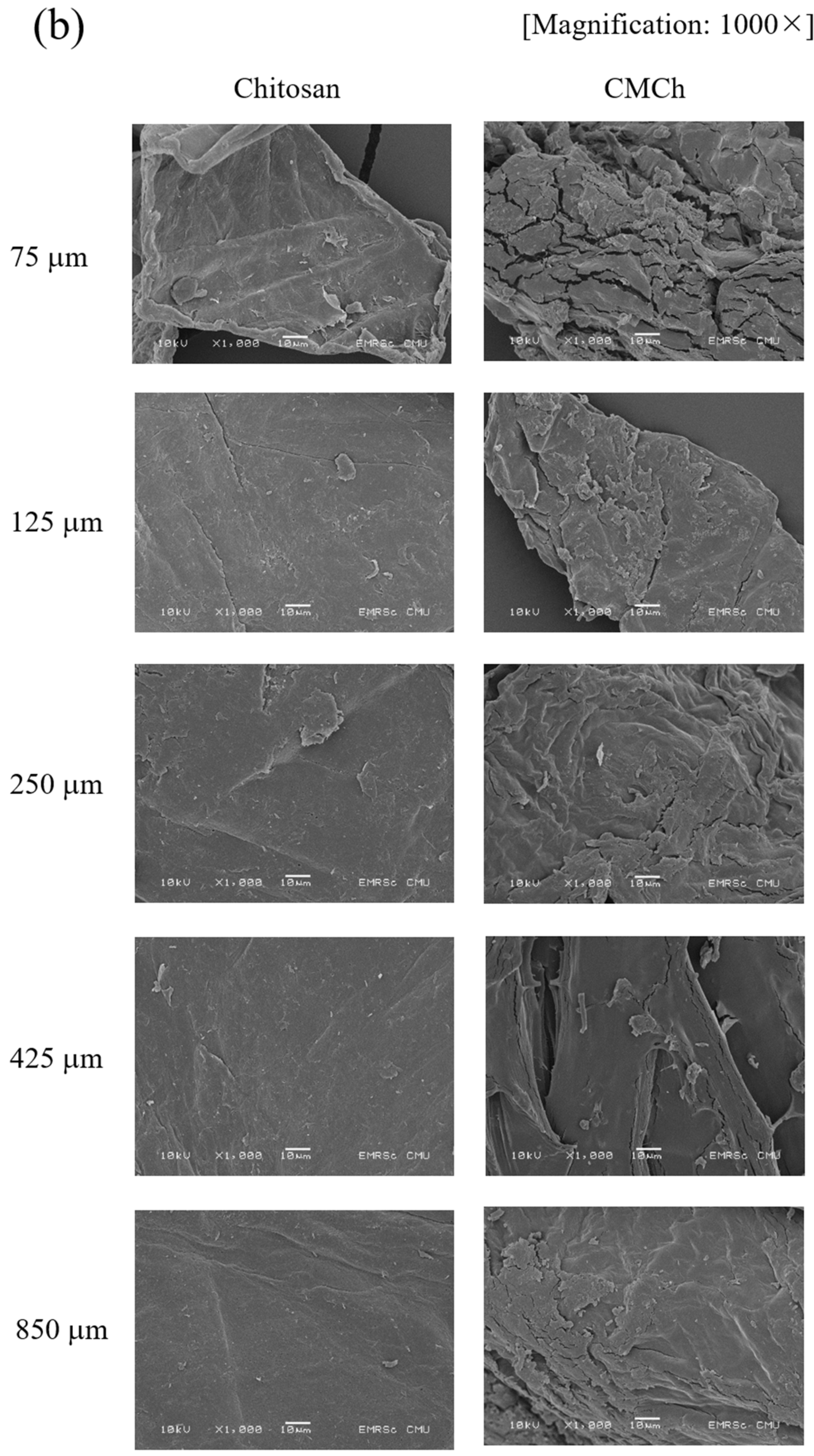 Molecules 26 06013 g003b Molecules 26 06013 g003b