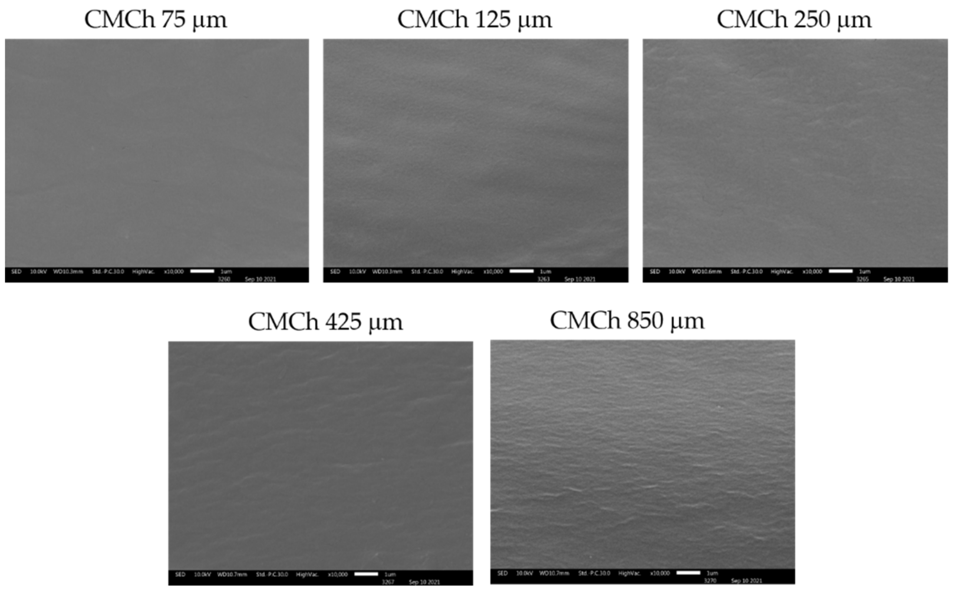 Molecules 26 06013 g006 Molecules 26 06013 g006