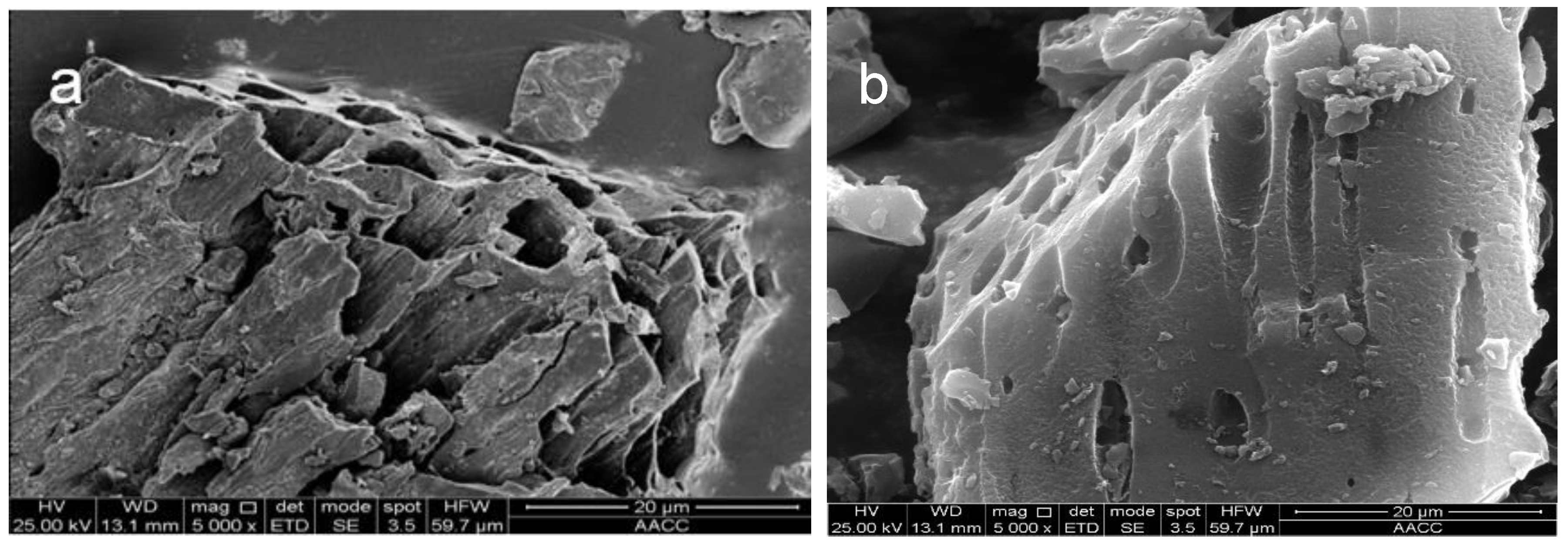 Molecules 26 06014 g002a 550