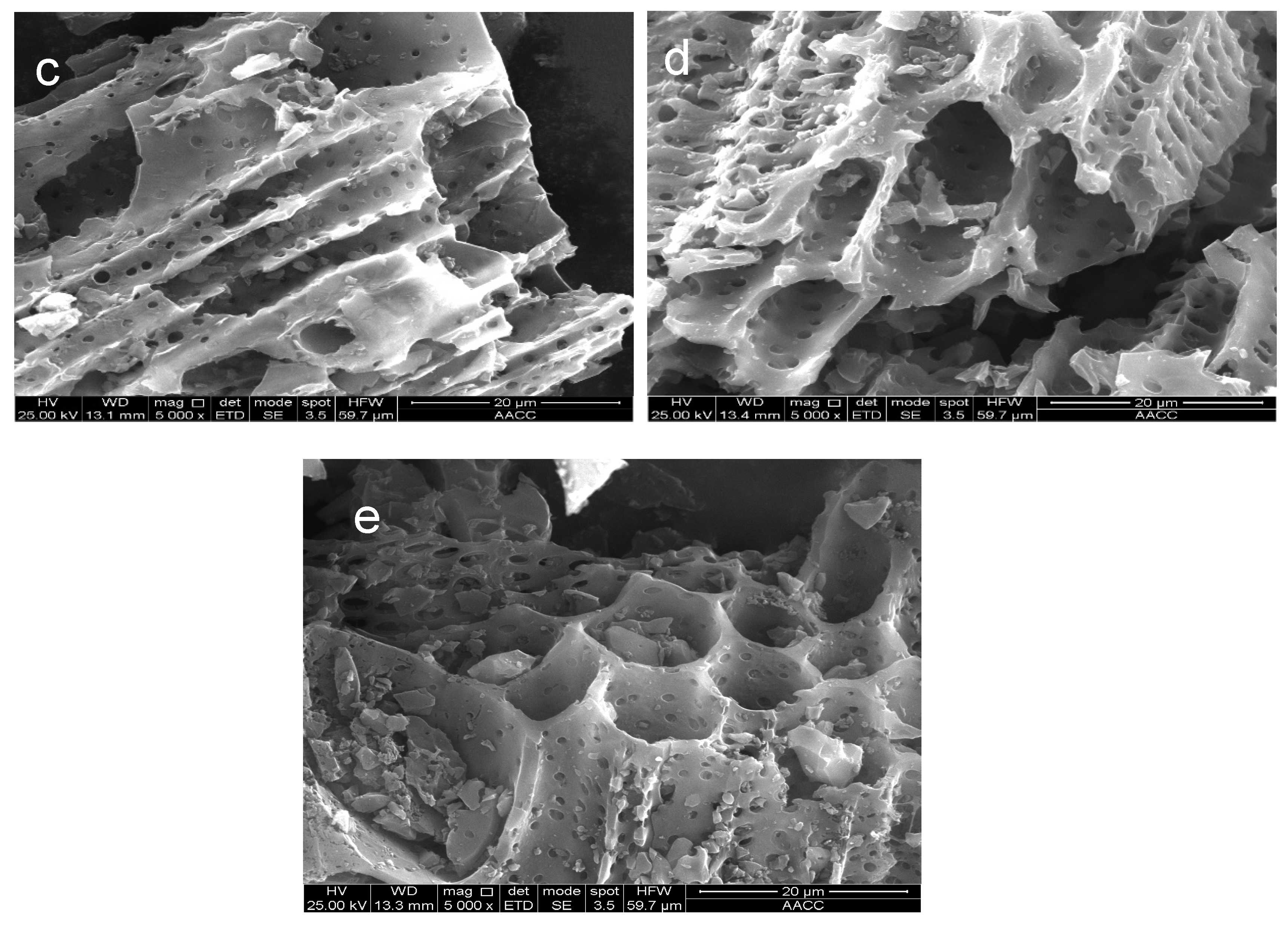 Molecules 26 06014 g002b 550