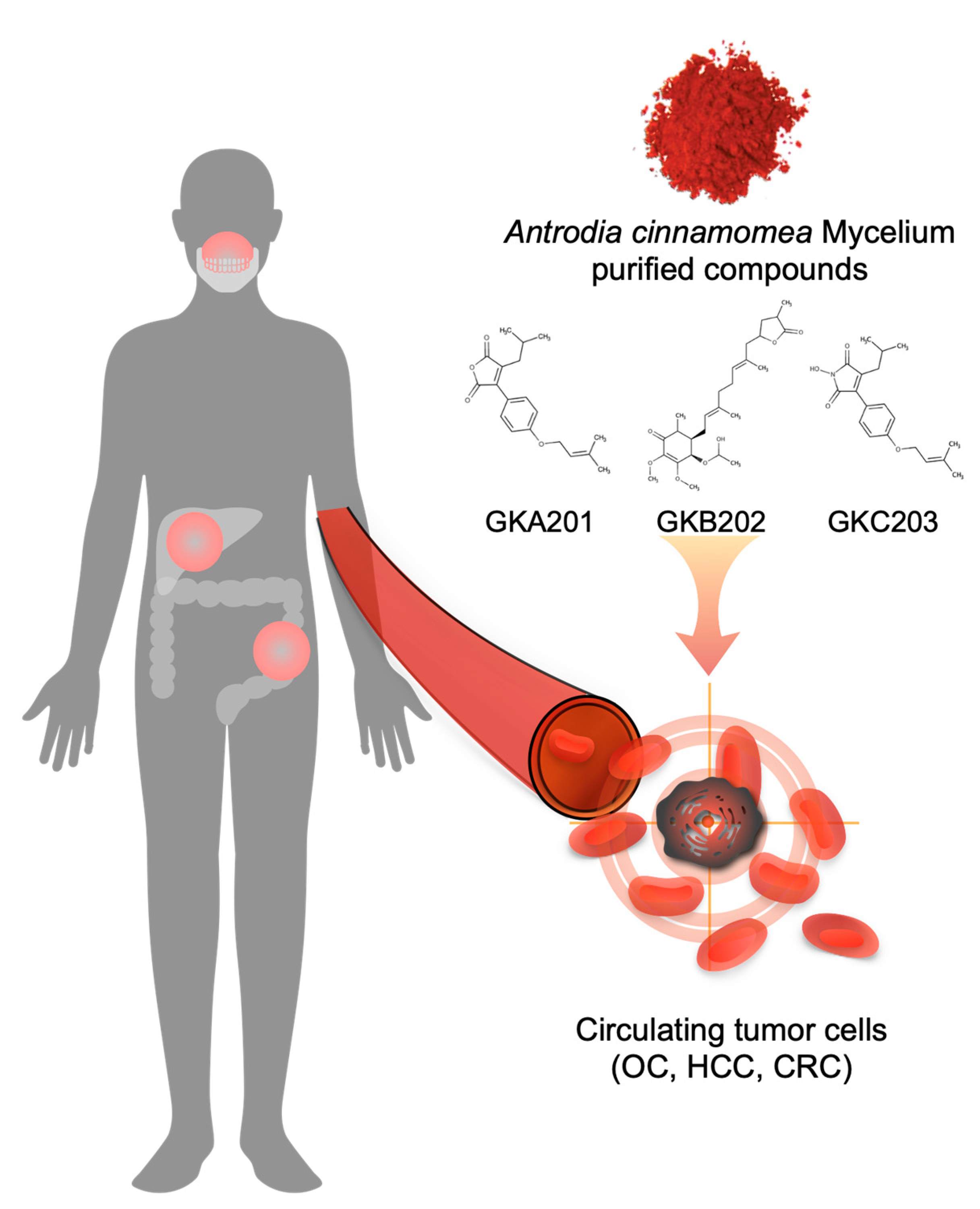 Molecules 26 06018 sch001