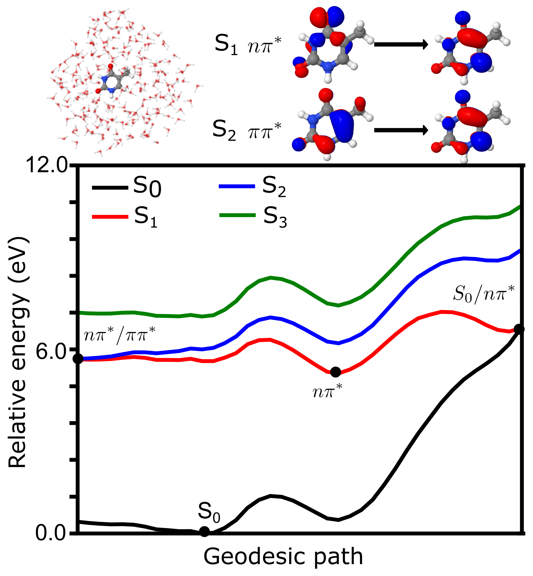 Molecules 26 06021 g005