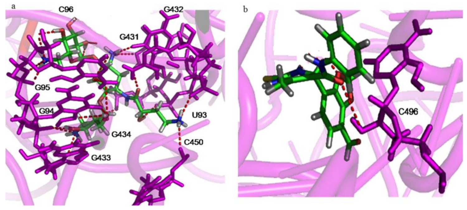 Molecules 26 06022 g006 550
