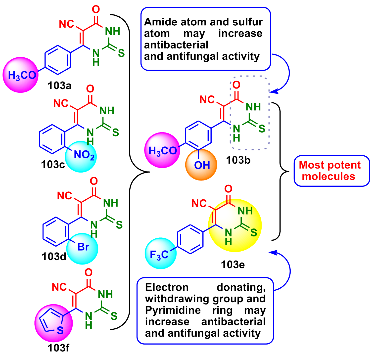 Molecules 26 06022 g013 550