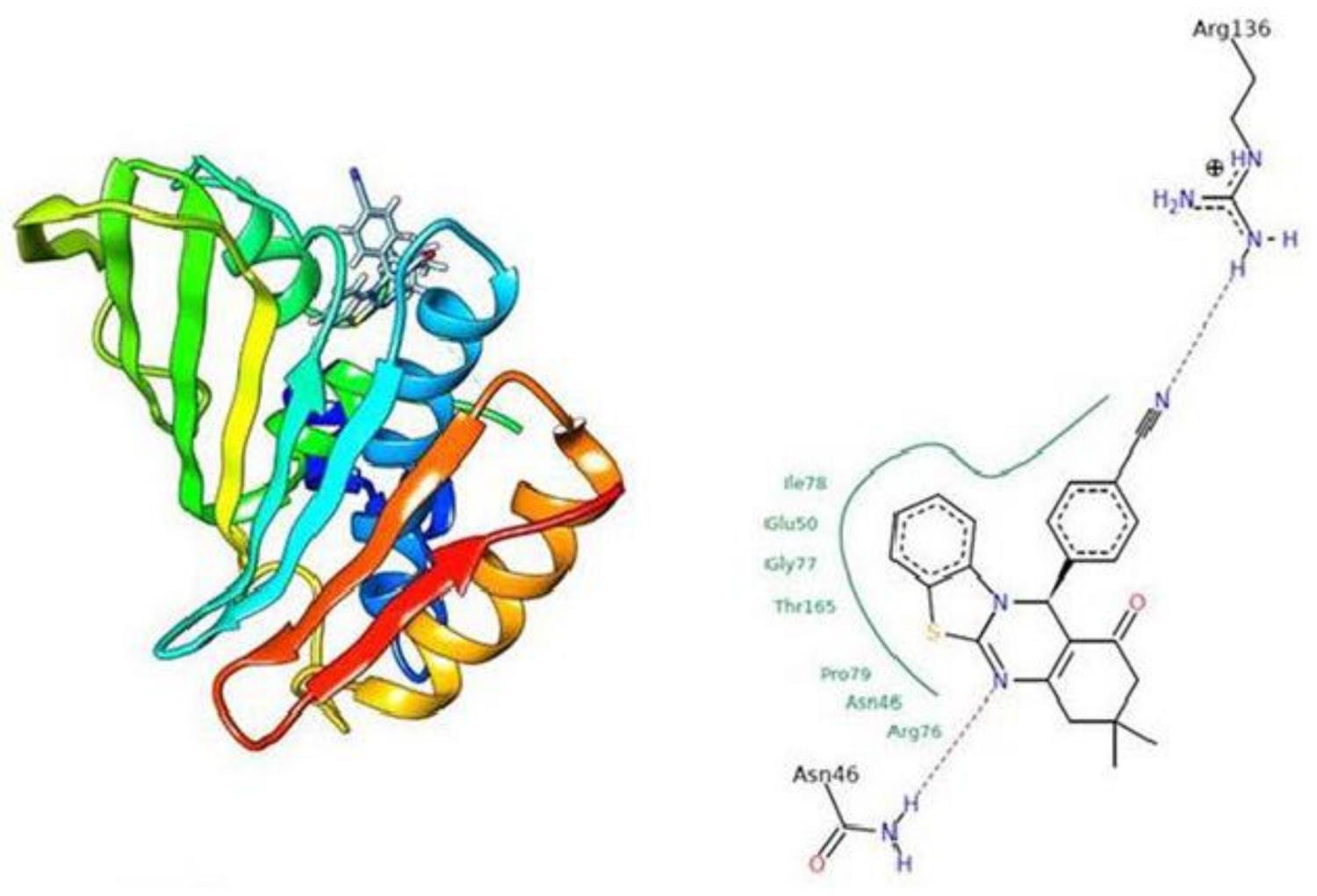 Molecules 26 06022 g014 550