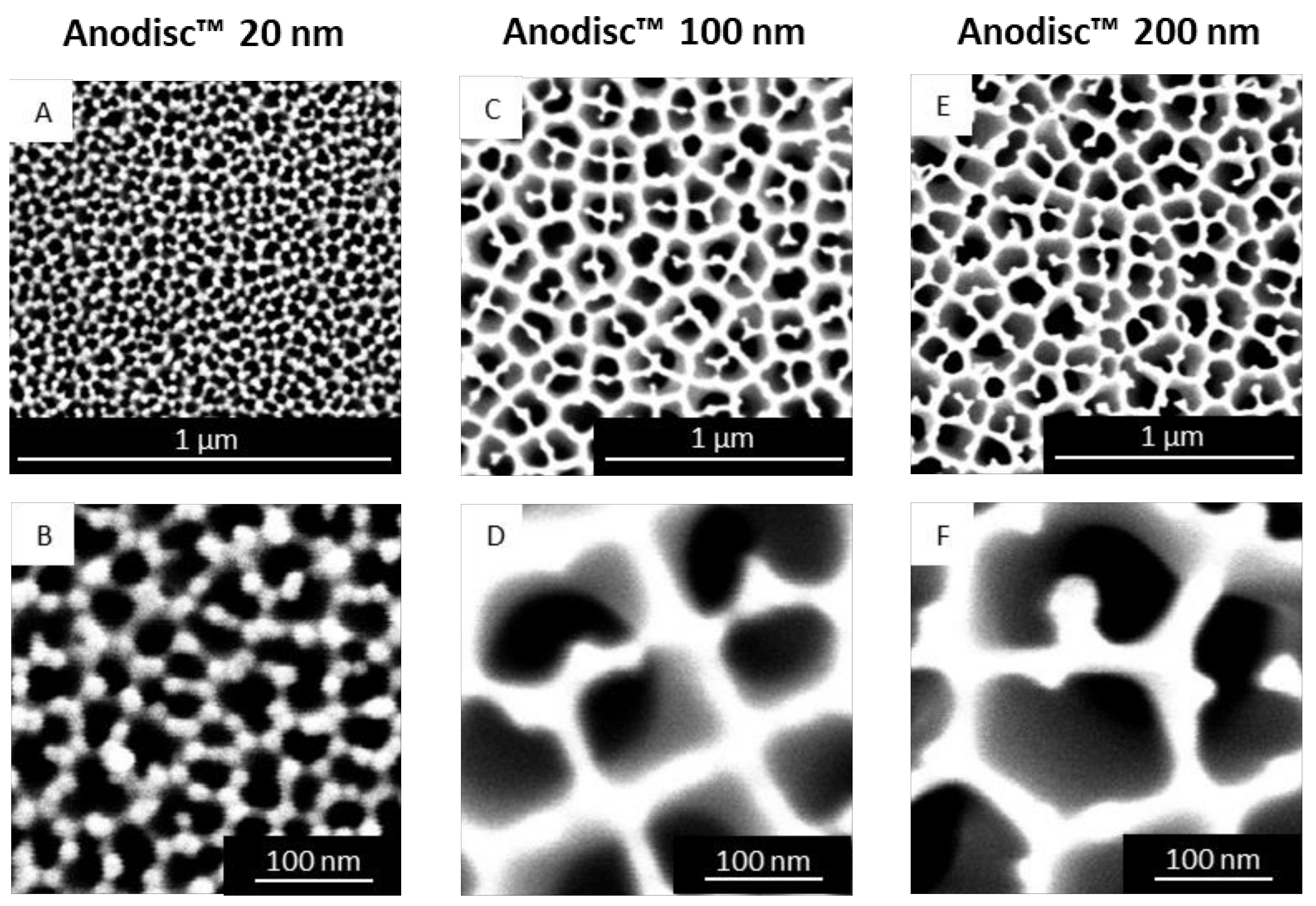Molecules 26 06029 g002