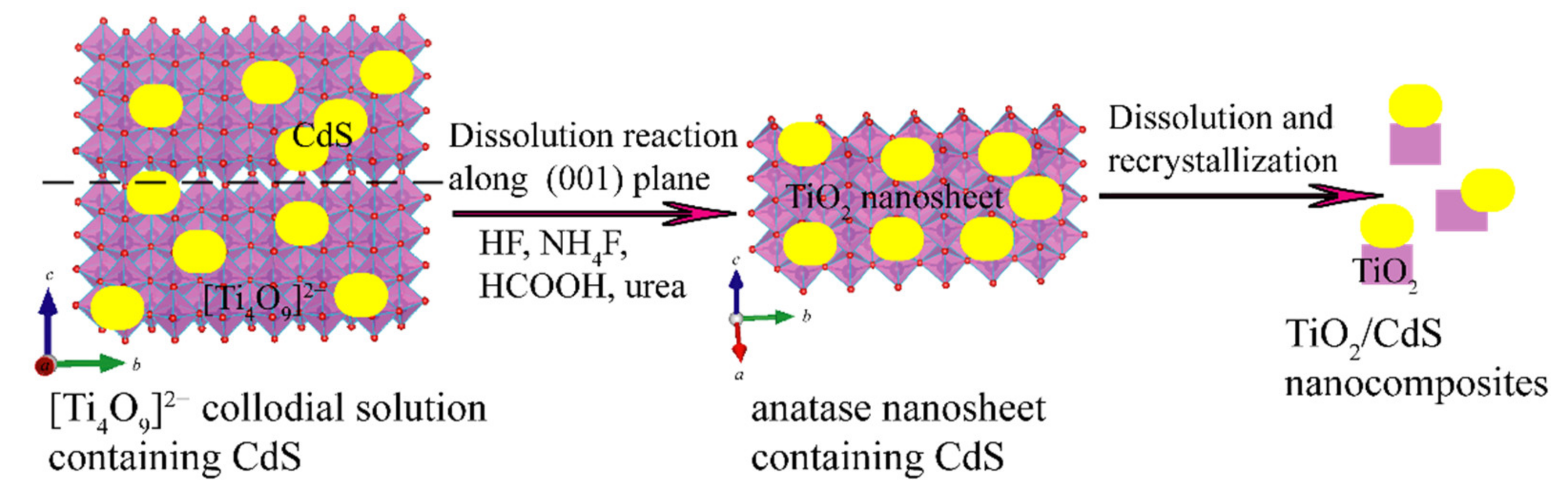 Molecules 26 06031 g001 550