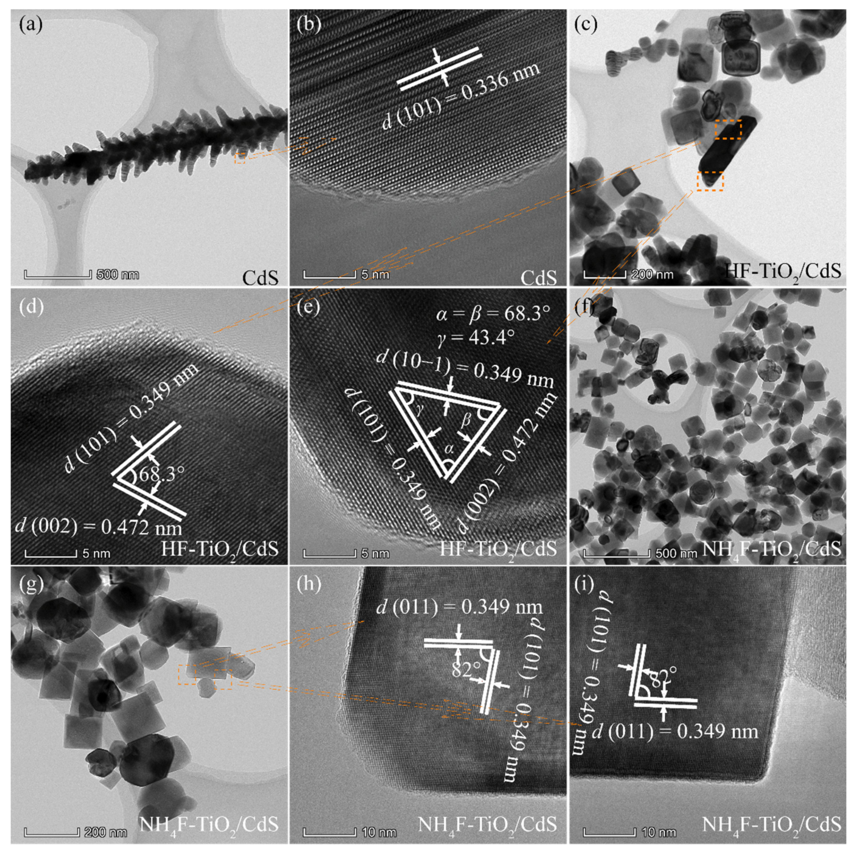 Molecules 26 06031 g004 550