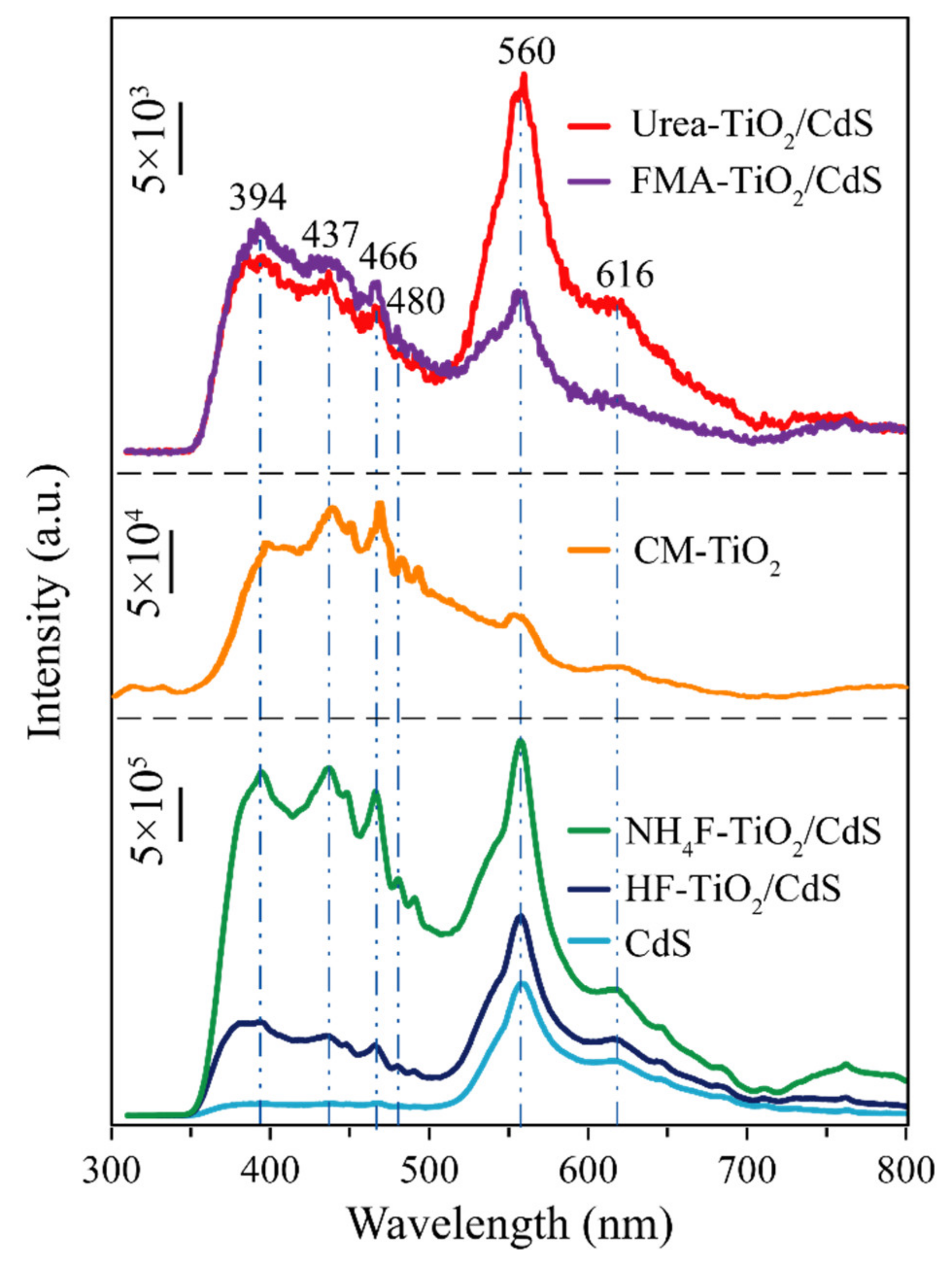 Molecules 26 06031 g007 550