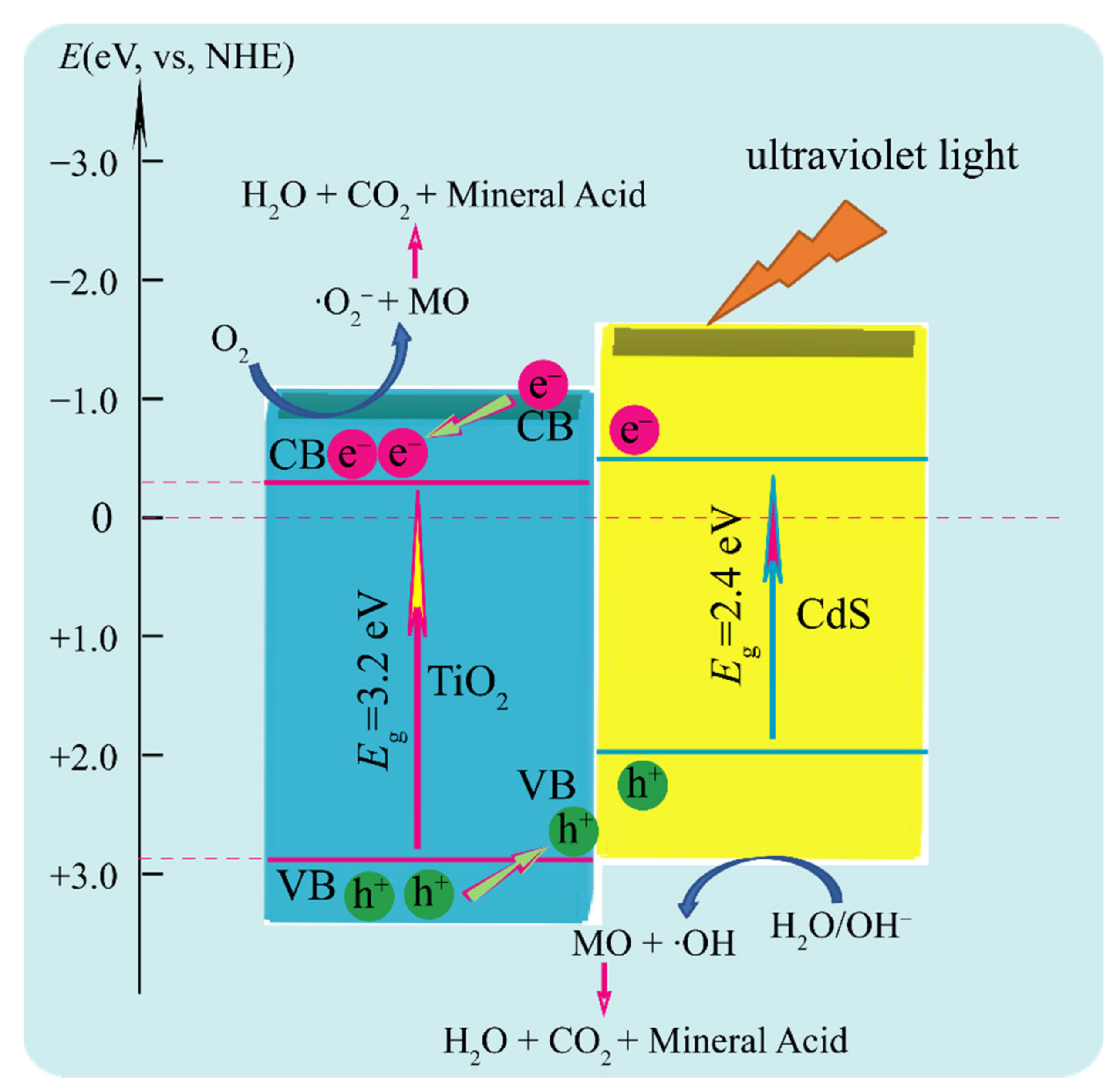Molecules 26 06031 g010 550
