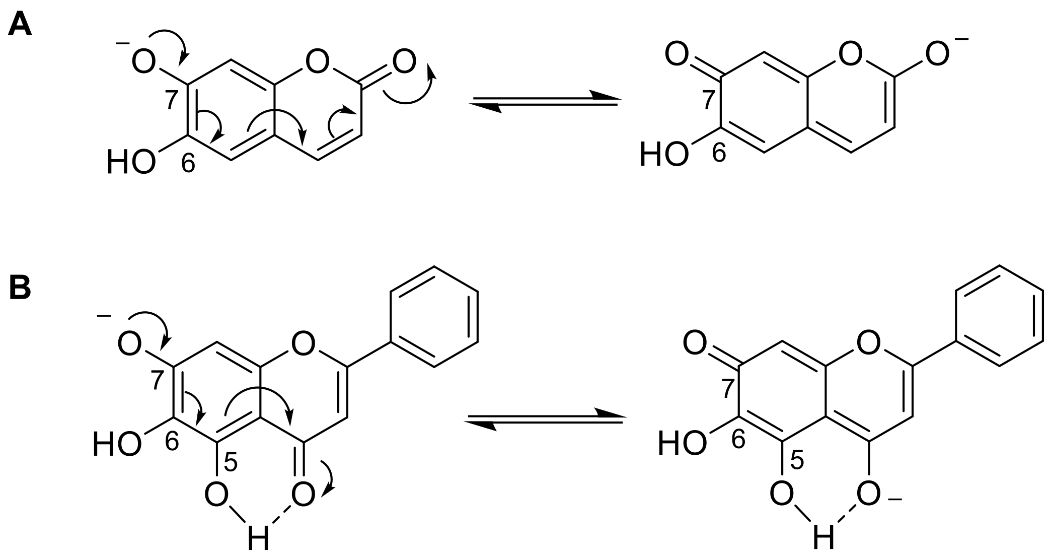 Molecules 26 06035 g004