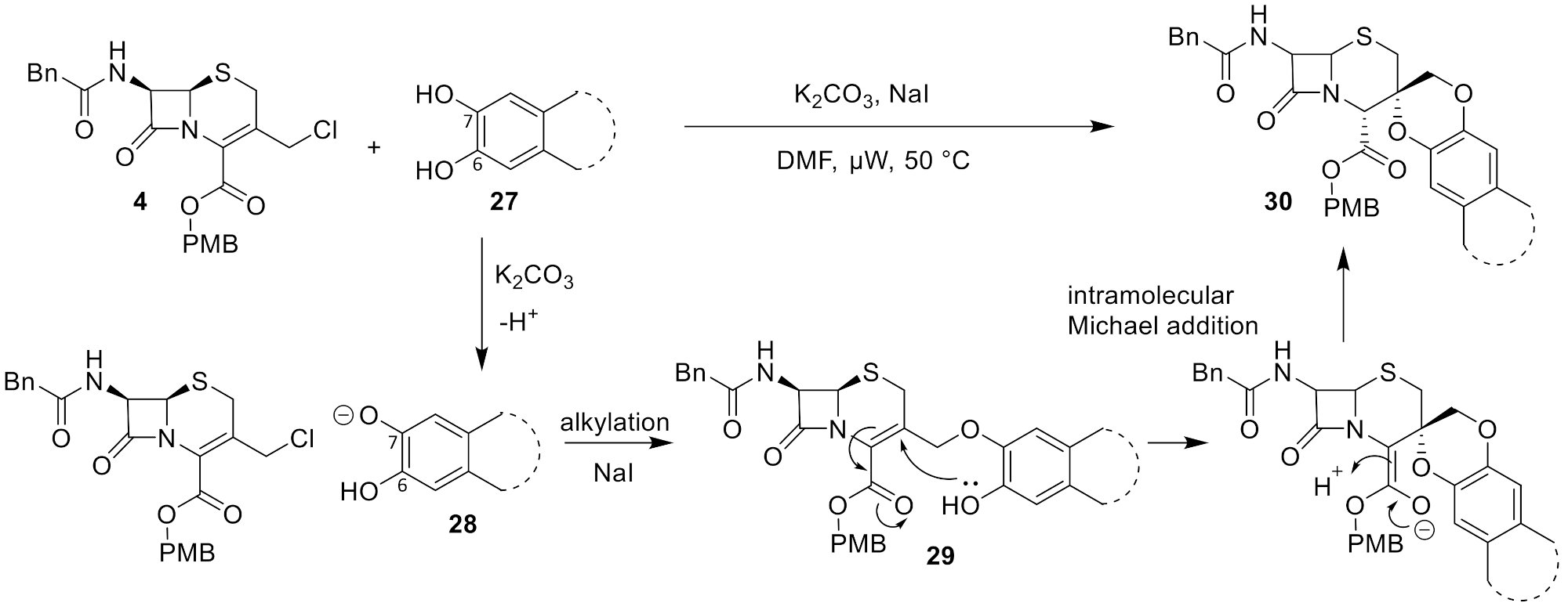 Molecules 26 06035 g005