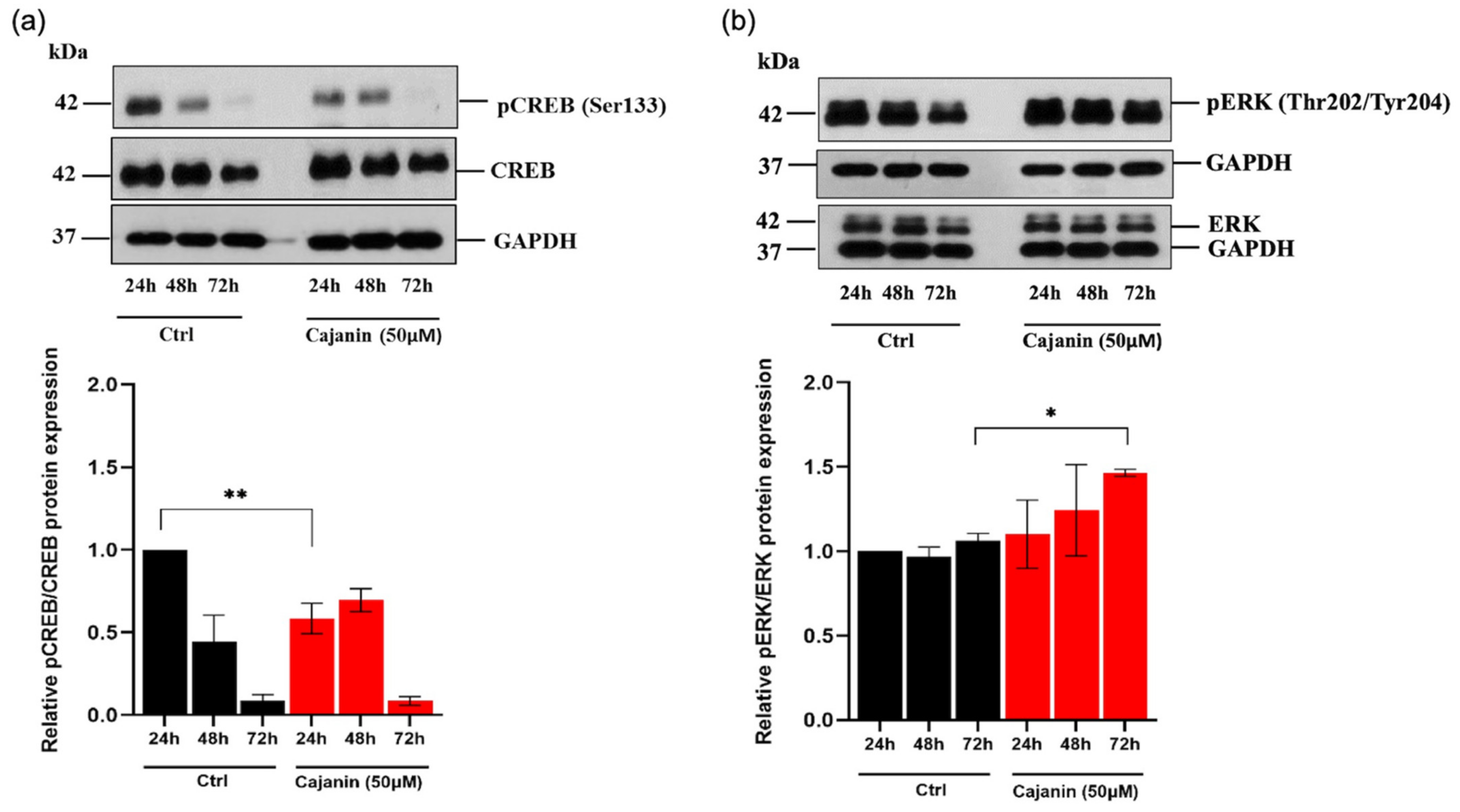 Molecules 26 06040 g007