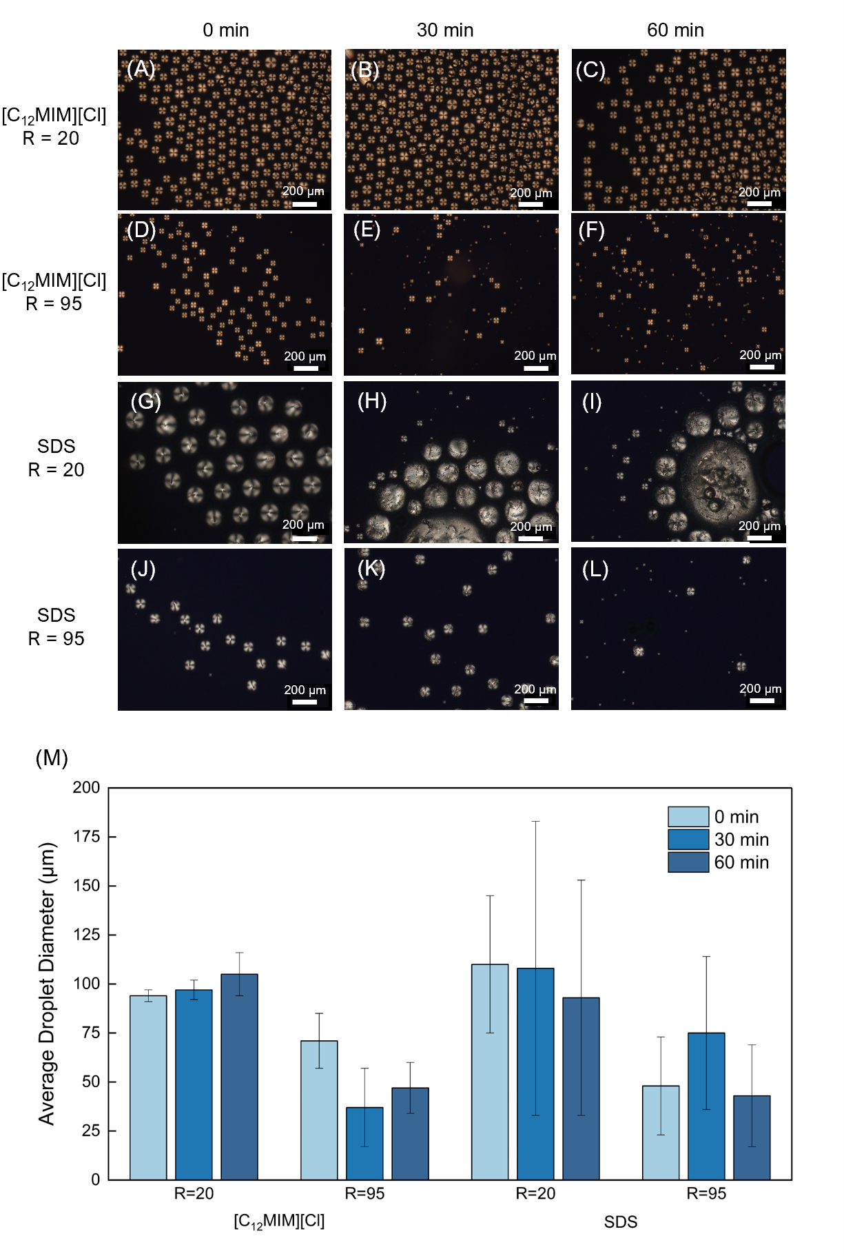 Molecules 26 06044 g004