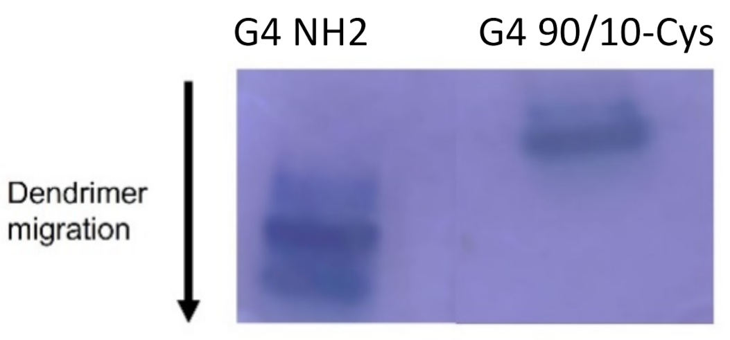 Molecules 26 06050 g003 550