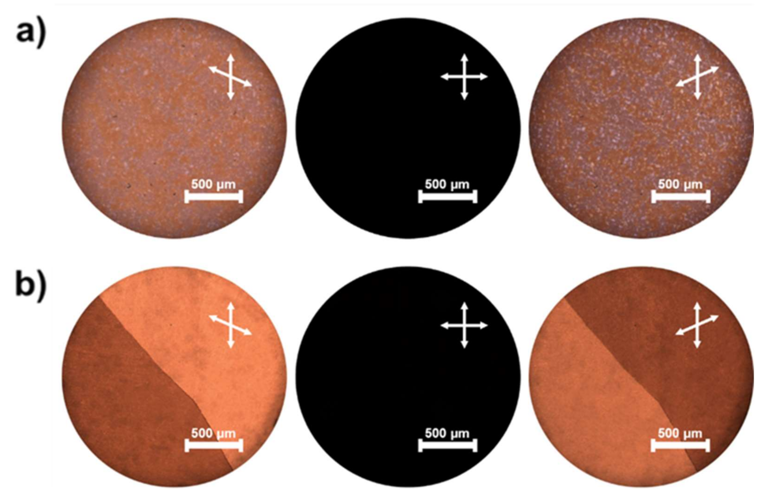 Molecules 26 06055 g001