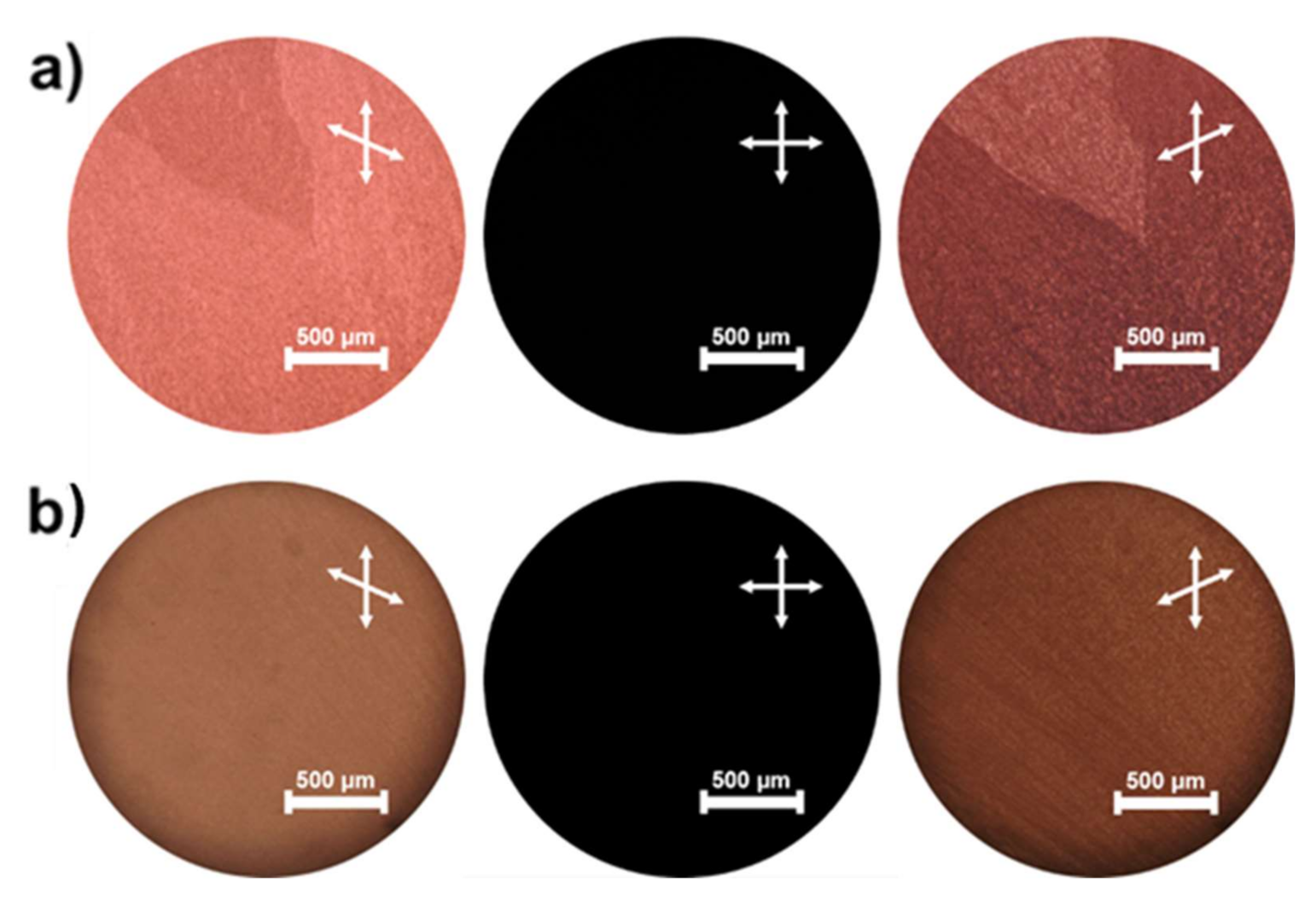 Molecules 26 06055 g004