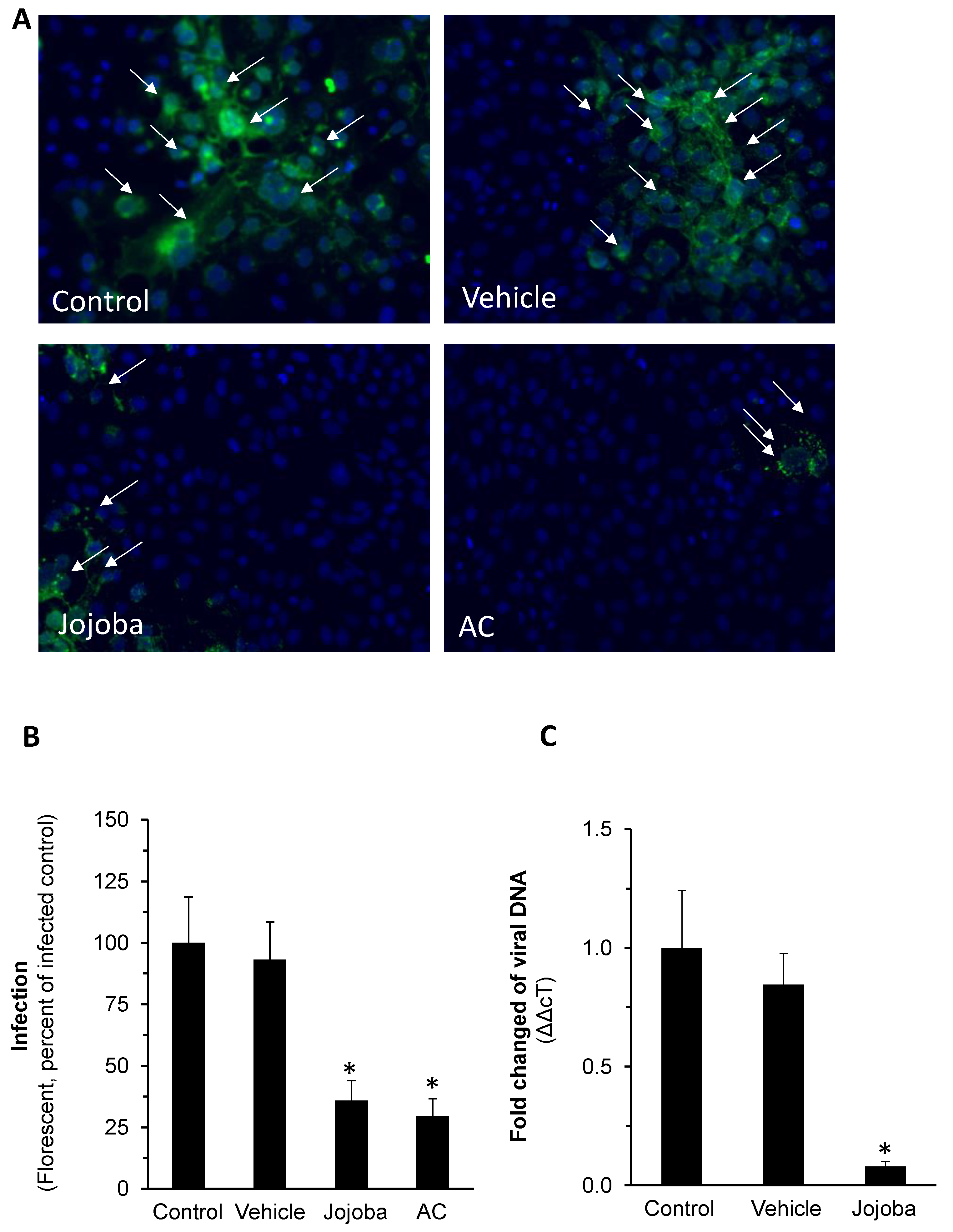 Molecules 26 06059 g004