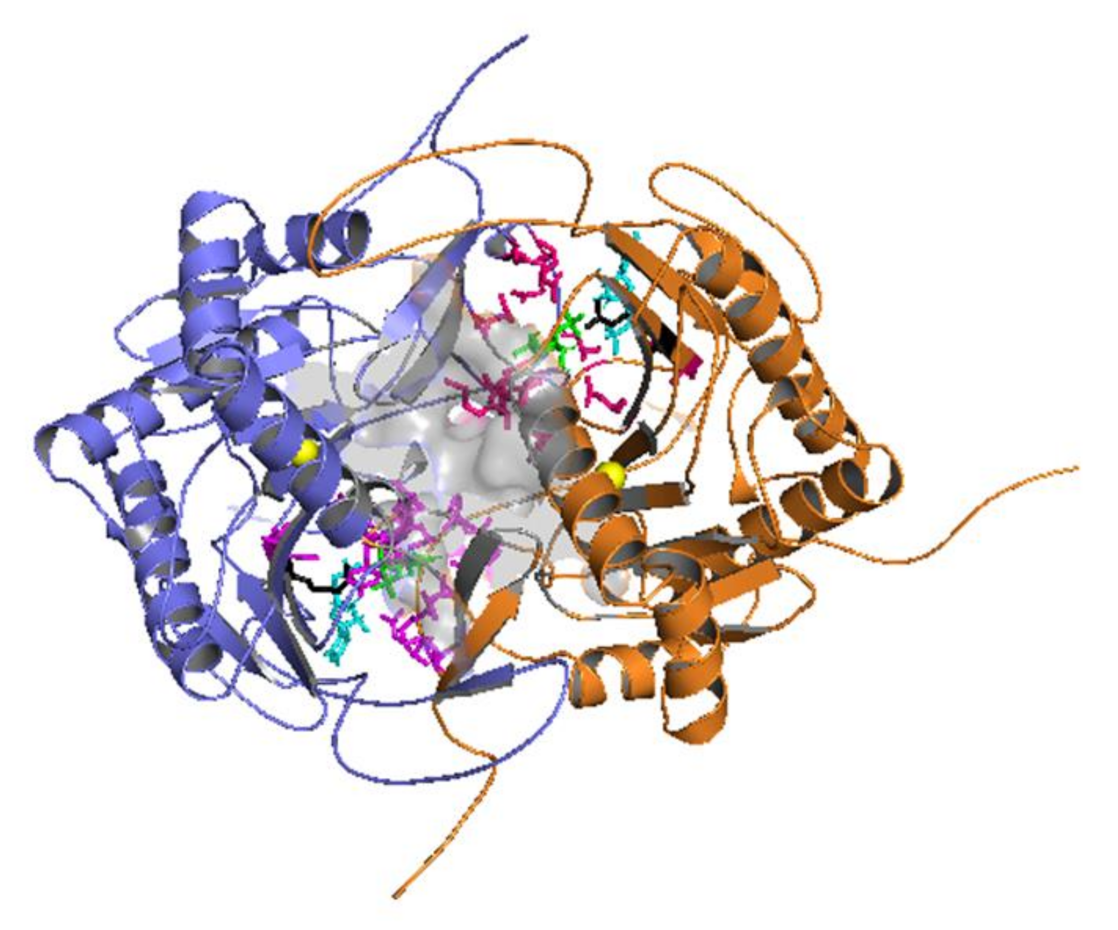 Molecules 26 06061 g001