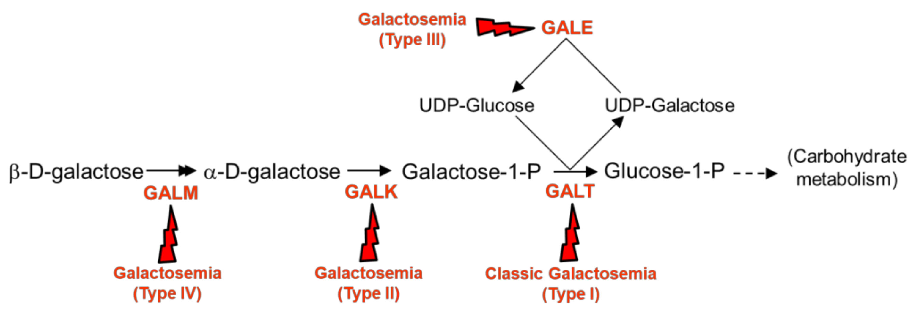 Molecules 26 06061 sch001