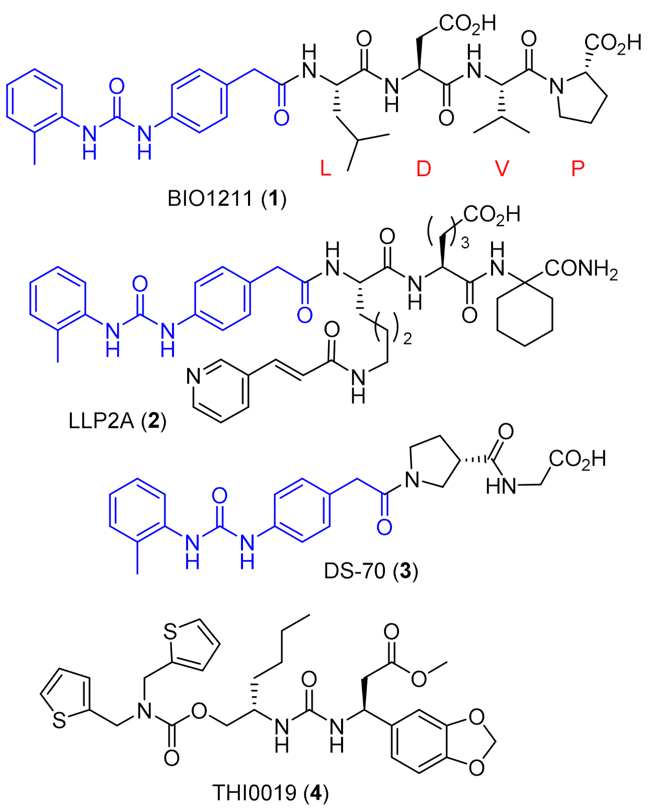 Molecules 26 06066 g001
