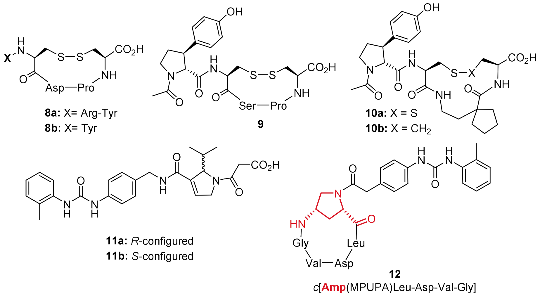 Molecules 26 06066 g004