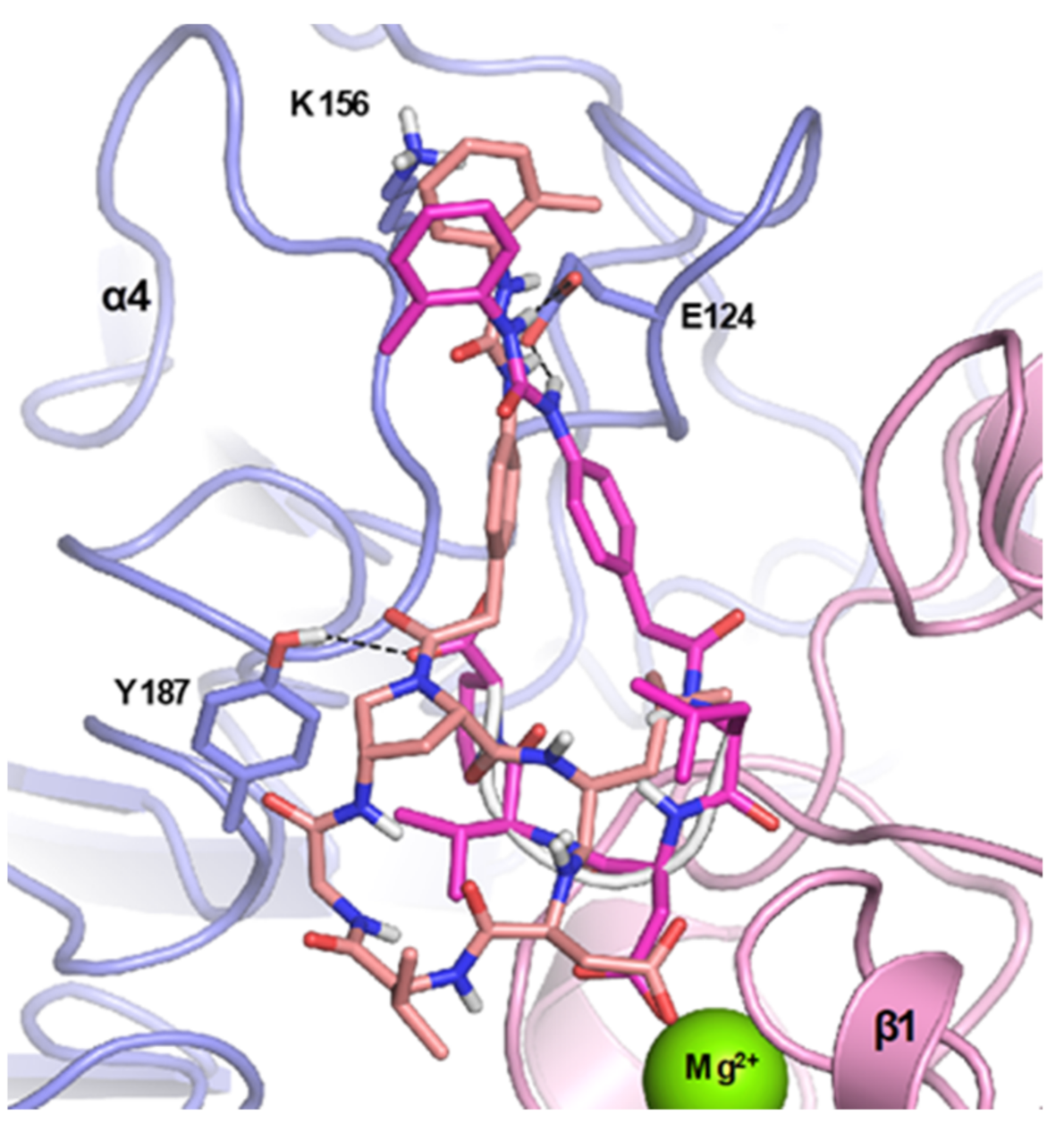 Molecules 26 06066 g006